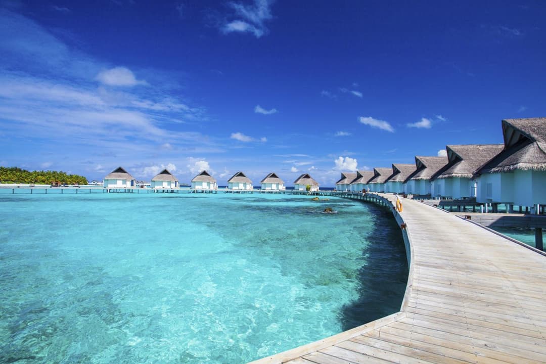 Machchafushi Island Resort & Spa Maldives, The Centara Collection - Stay 4 nights or more, enjoy 25 percent off Seaplane transfers, valid for stays from 10 - View 119