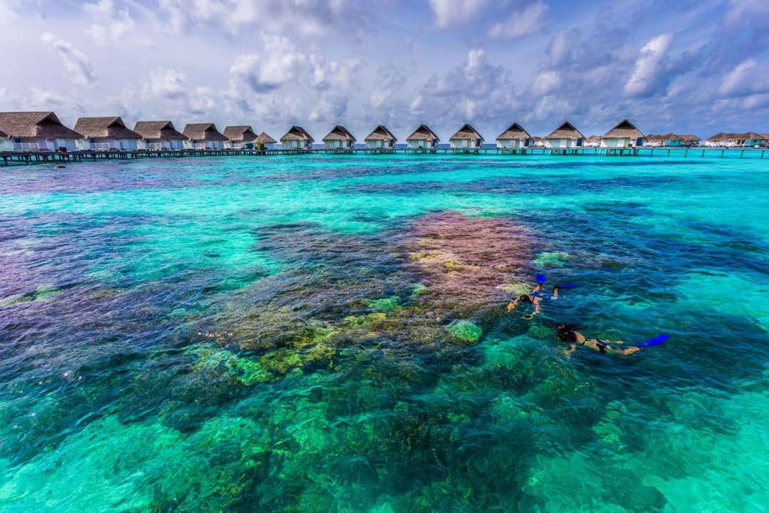Machchafushi Island Resort & Spa Maldives, The Centara Collection - Stay 4 nights or more, enjoy 25 percent off Seaplane transfers, valid for stays from 10 - View 262