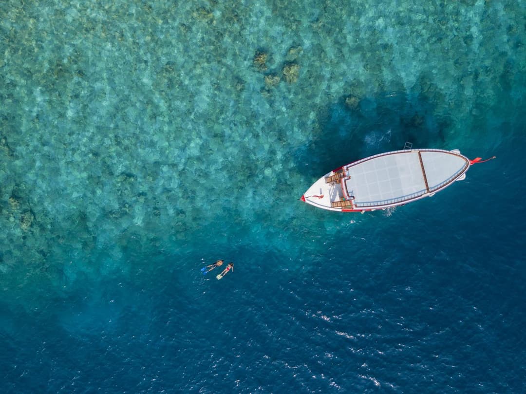 Machchafushi Island Resort & Spa Maldives, The Centara Collection - Stay 4 nights or more, enjoy 25 percent off Seaplane transfers, valid for stays from 10 - View 271