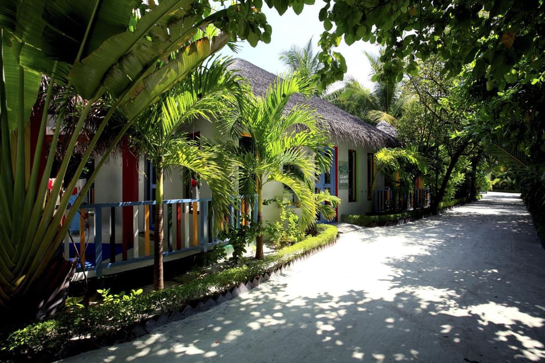 Machchafushi Island Resort & Spa Maldives, The Centara Collection - Stay 4 nights or more, enjoy 25 percent off Seaplane transfers, valid for stays from 10 - View 96