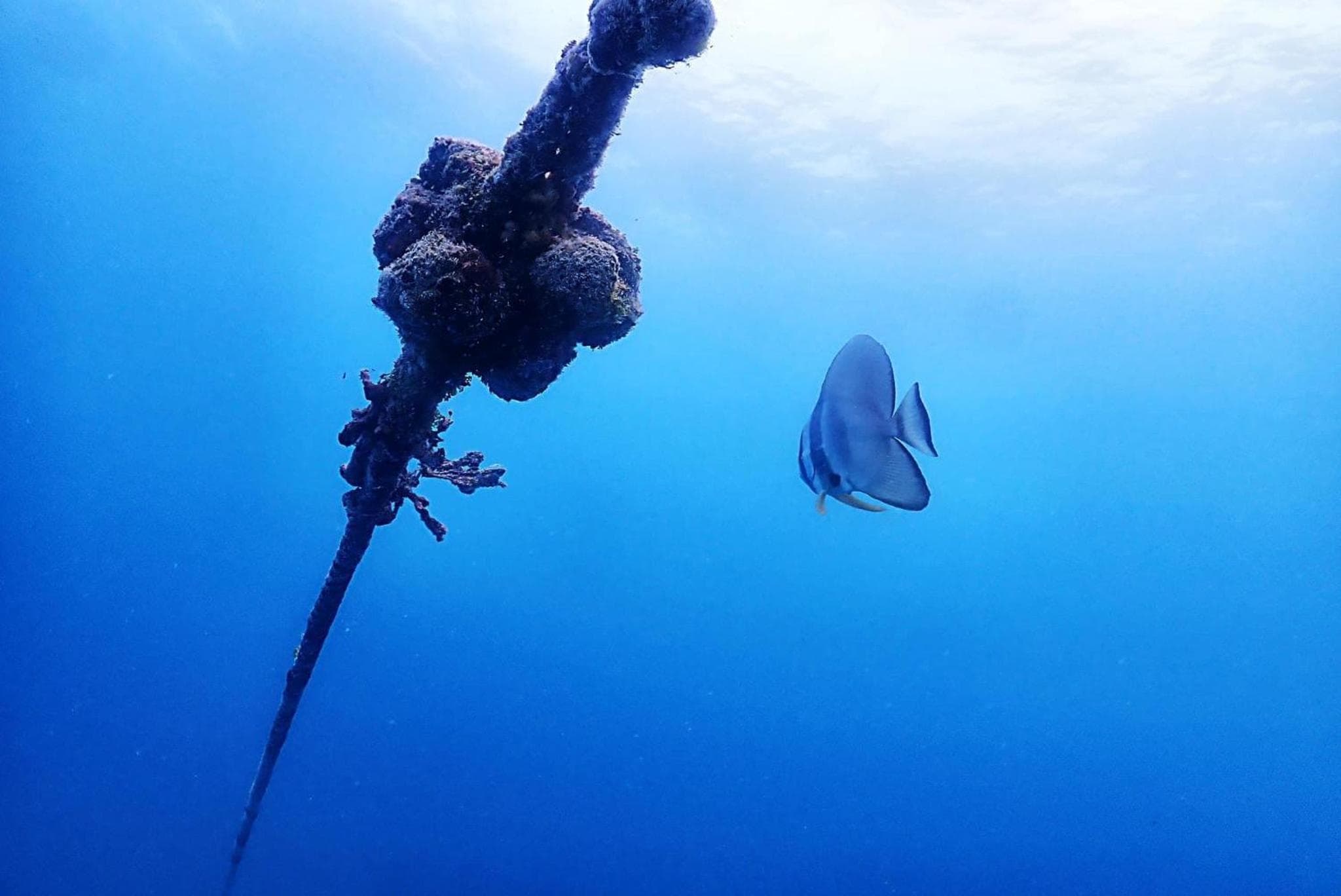 Rasdu View Inn - View 129