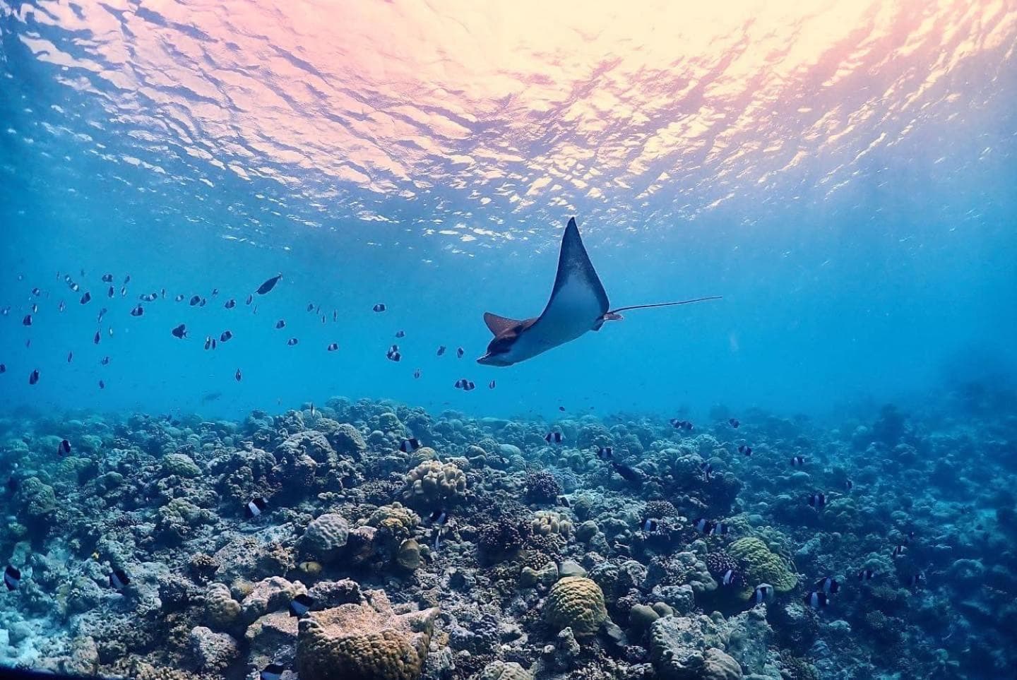 Rasdu View Inn - View 113