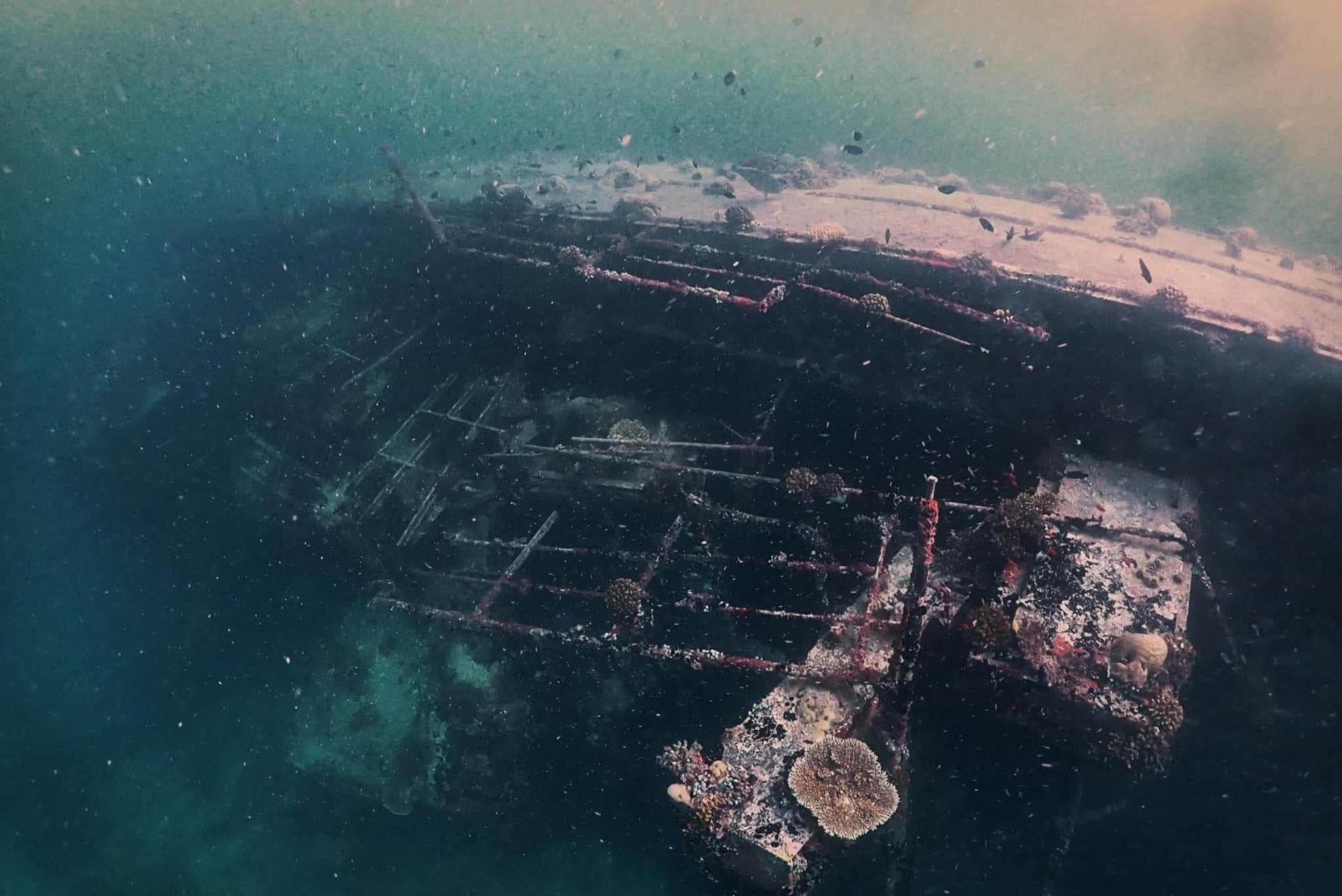 Rasdu View Inn - View 111