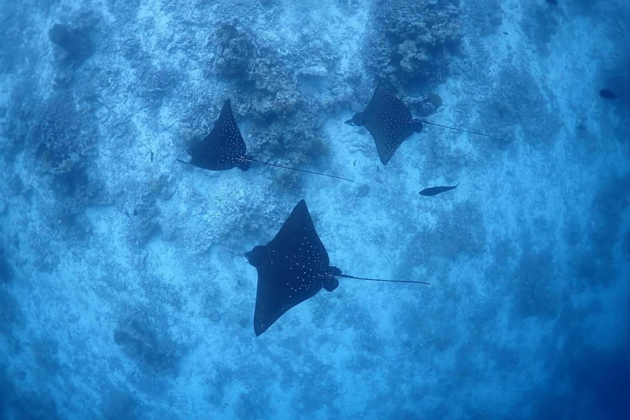 Rasdu View Inn - View 112