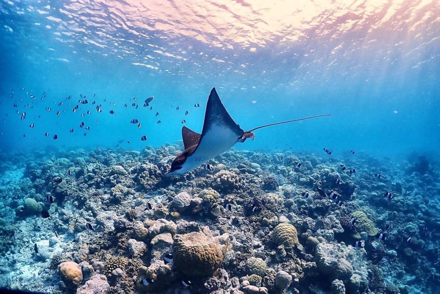 Rasdu View Inn - View 108