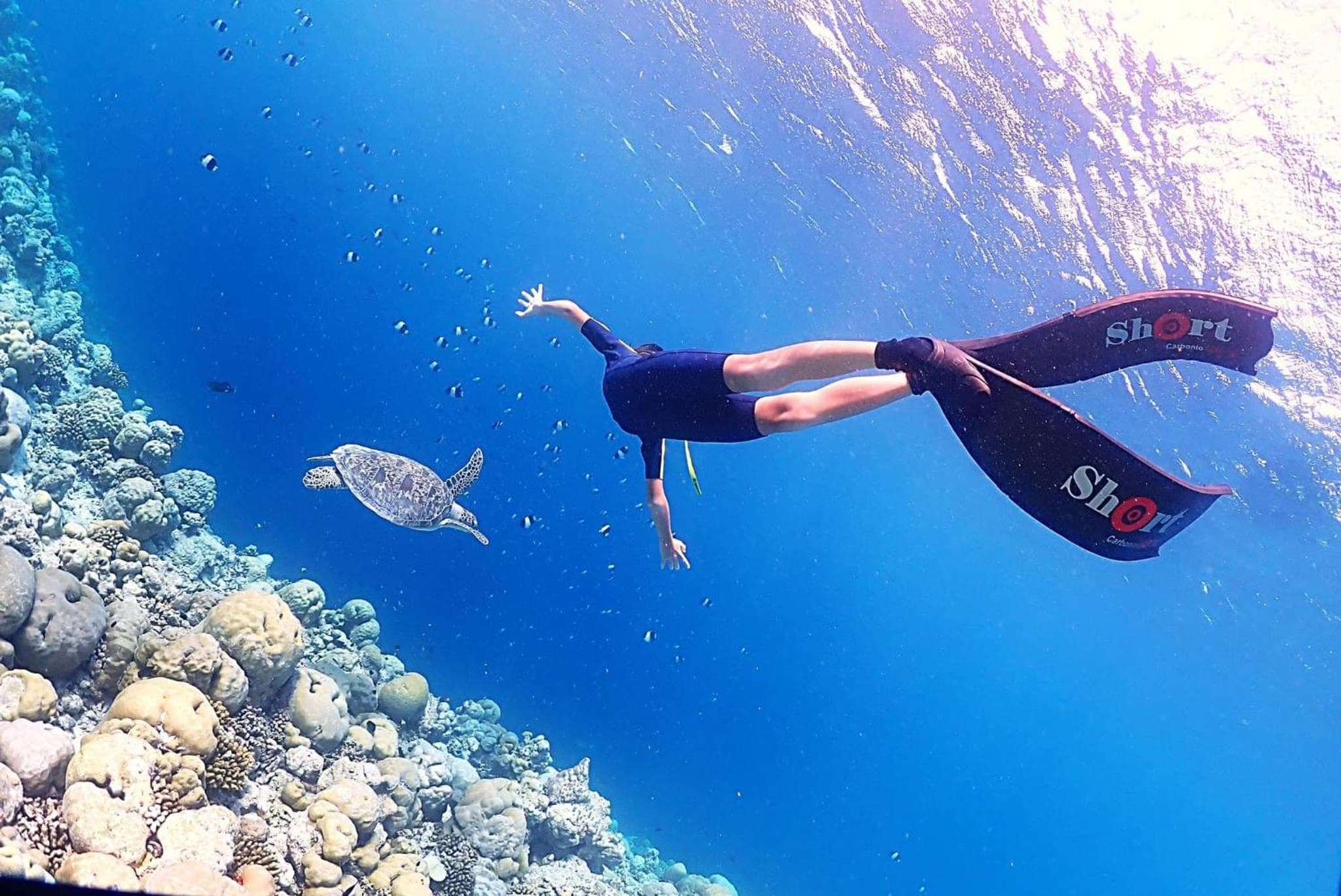 Rasdu View Inn - View 106