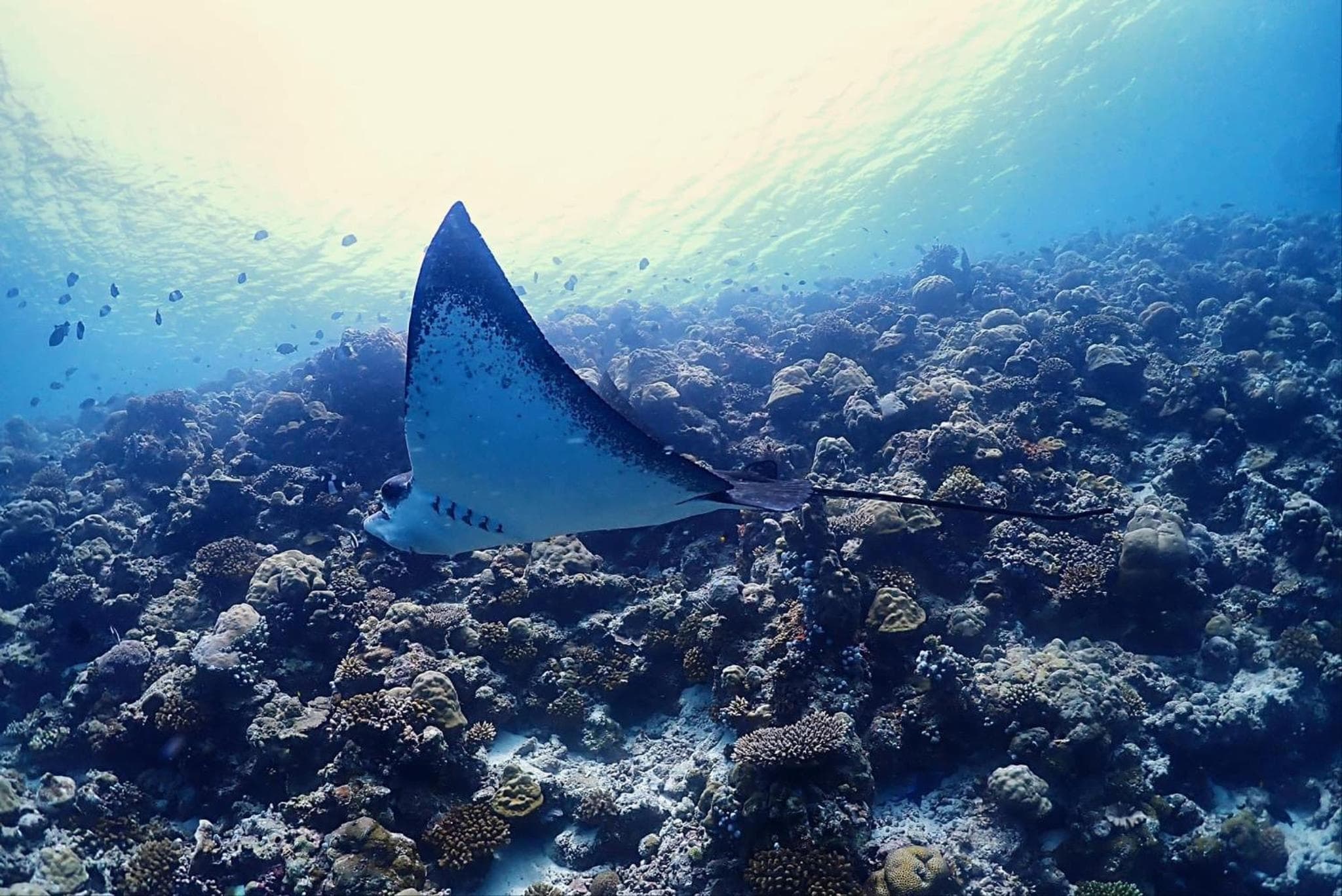 Rasdu View Inn - View 110