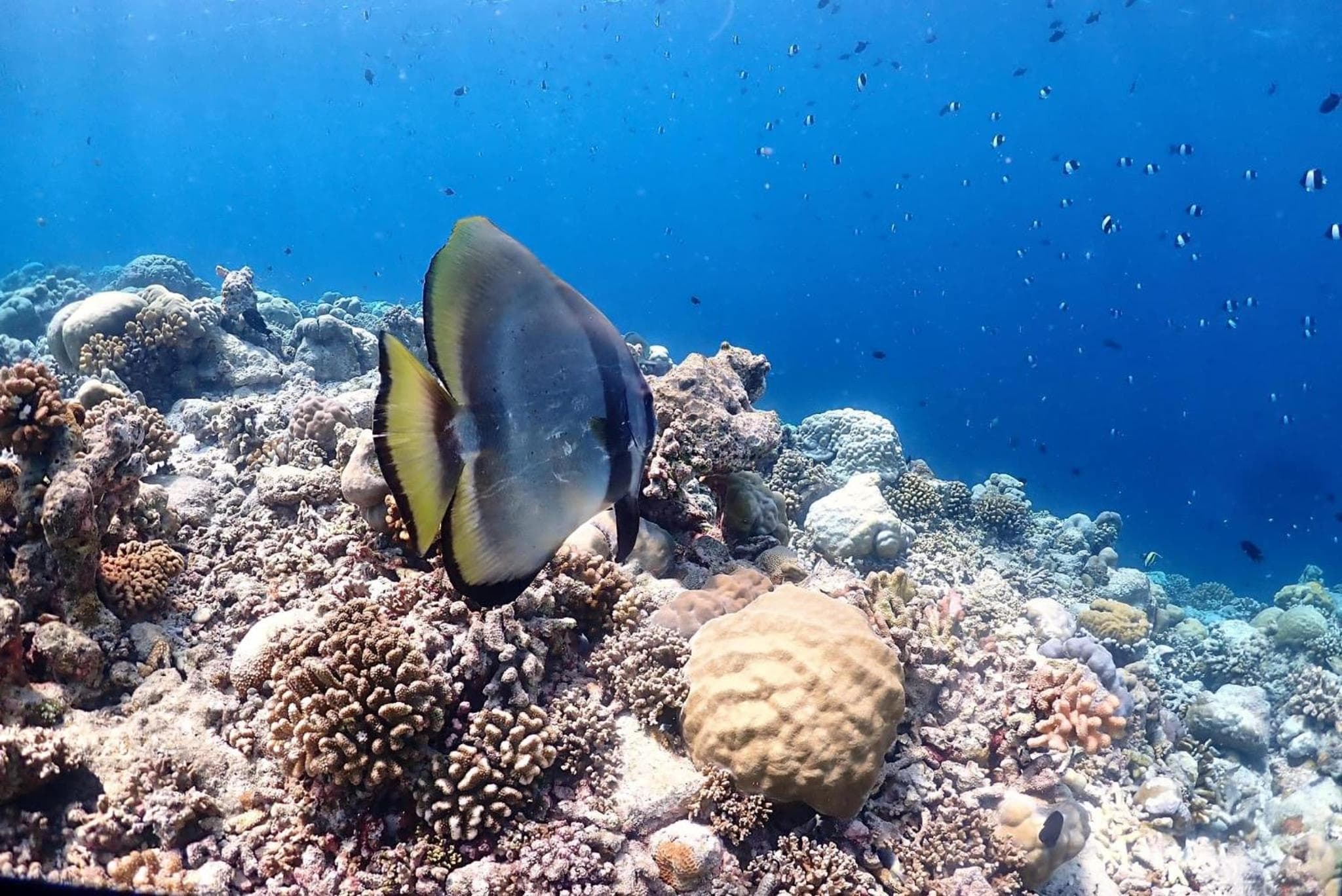 Rasdu View Inn - View 120