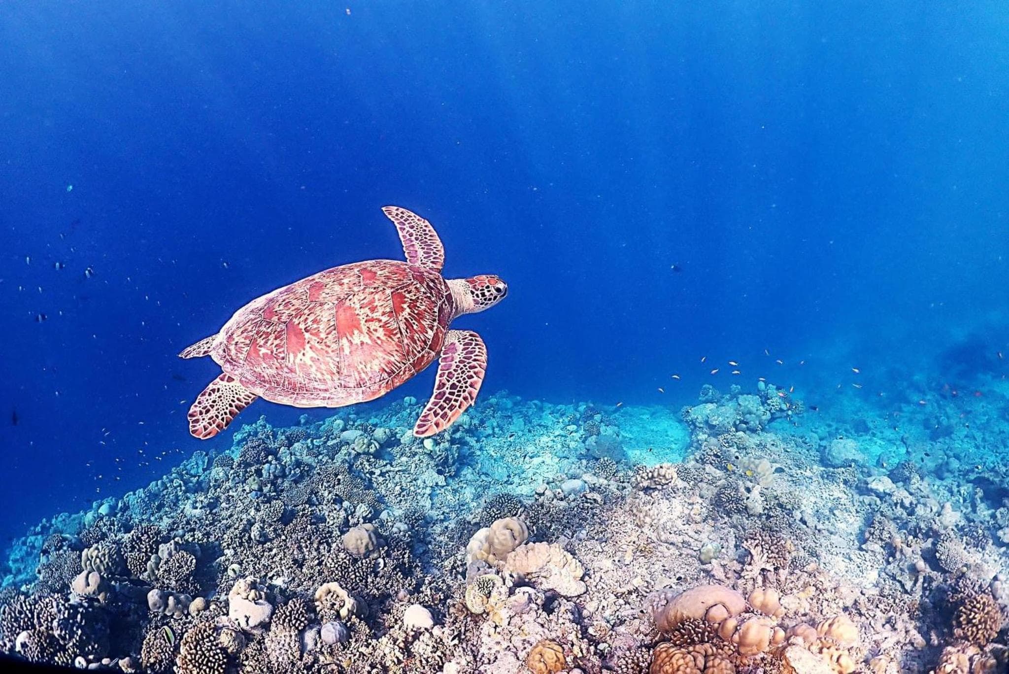 Rasdu View Inn - View 118