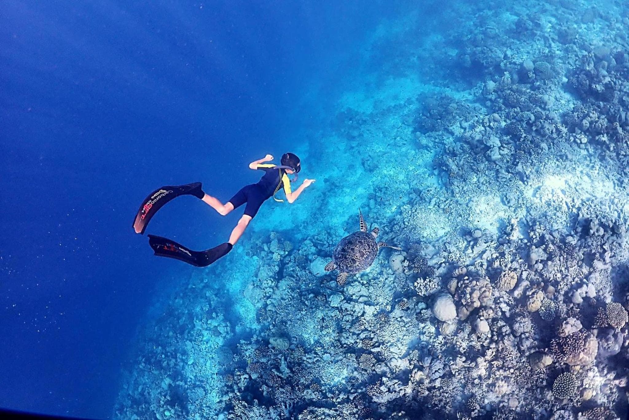 Rasdu View Inn - View 117