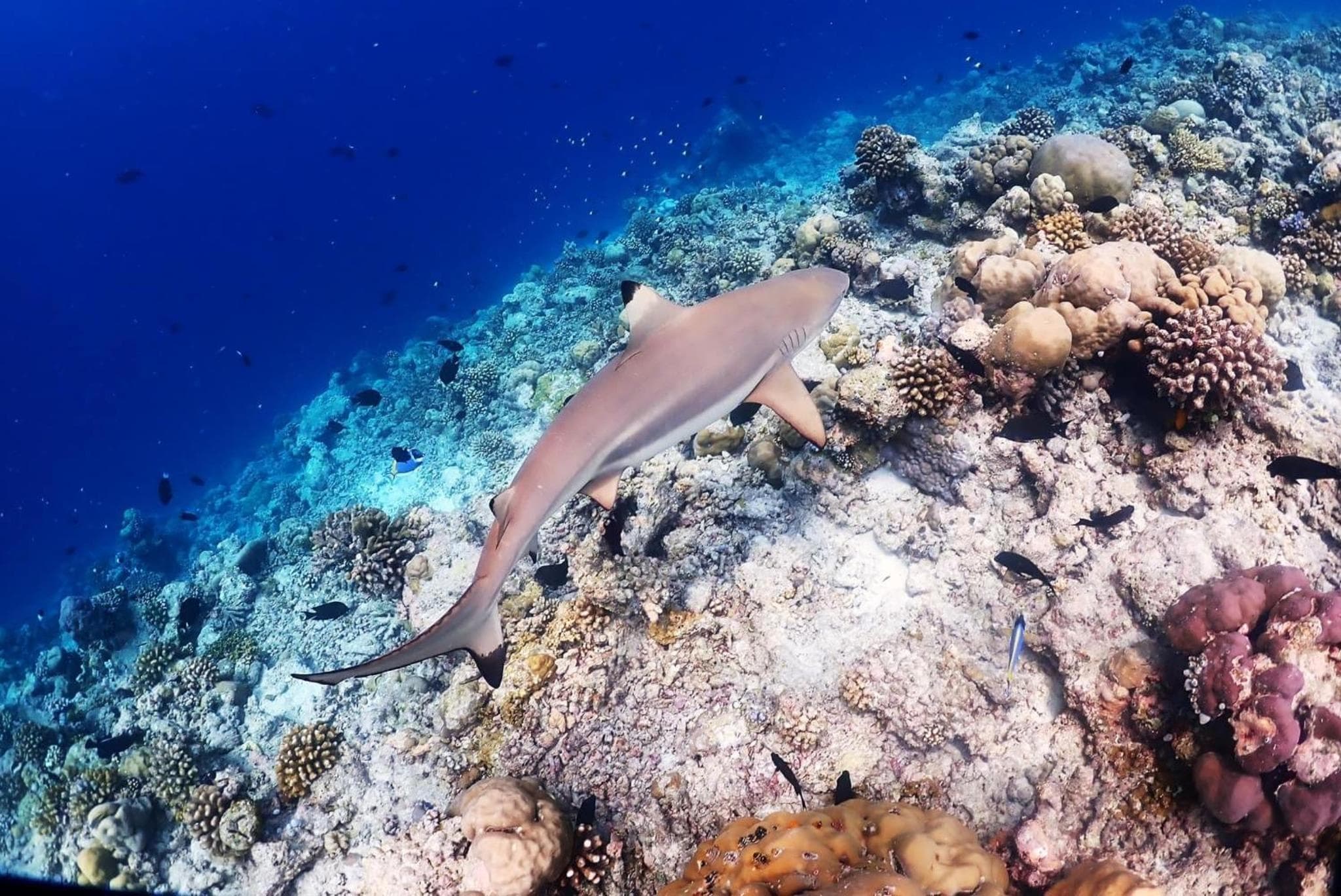 Rasdu View Inn - View 119