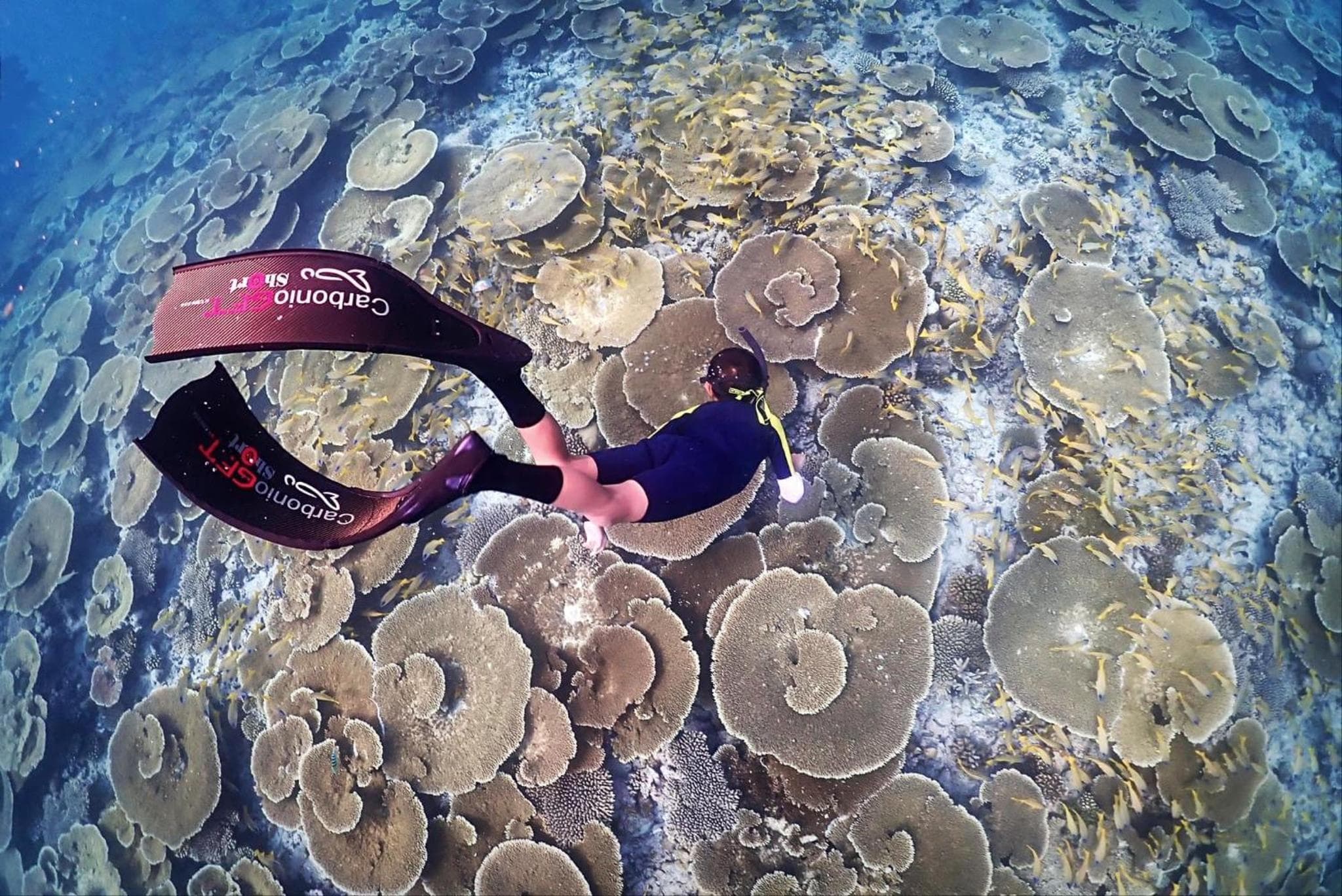 Rasdu View Inn - View 128