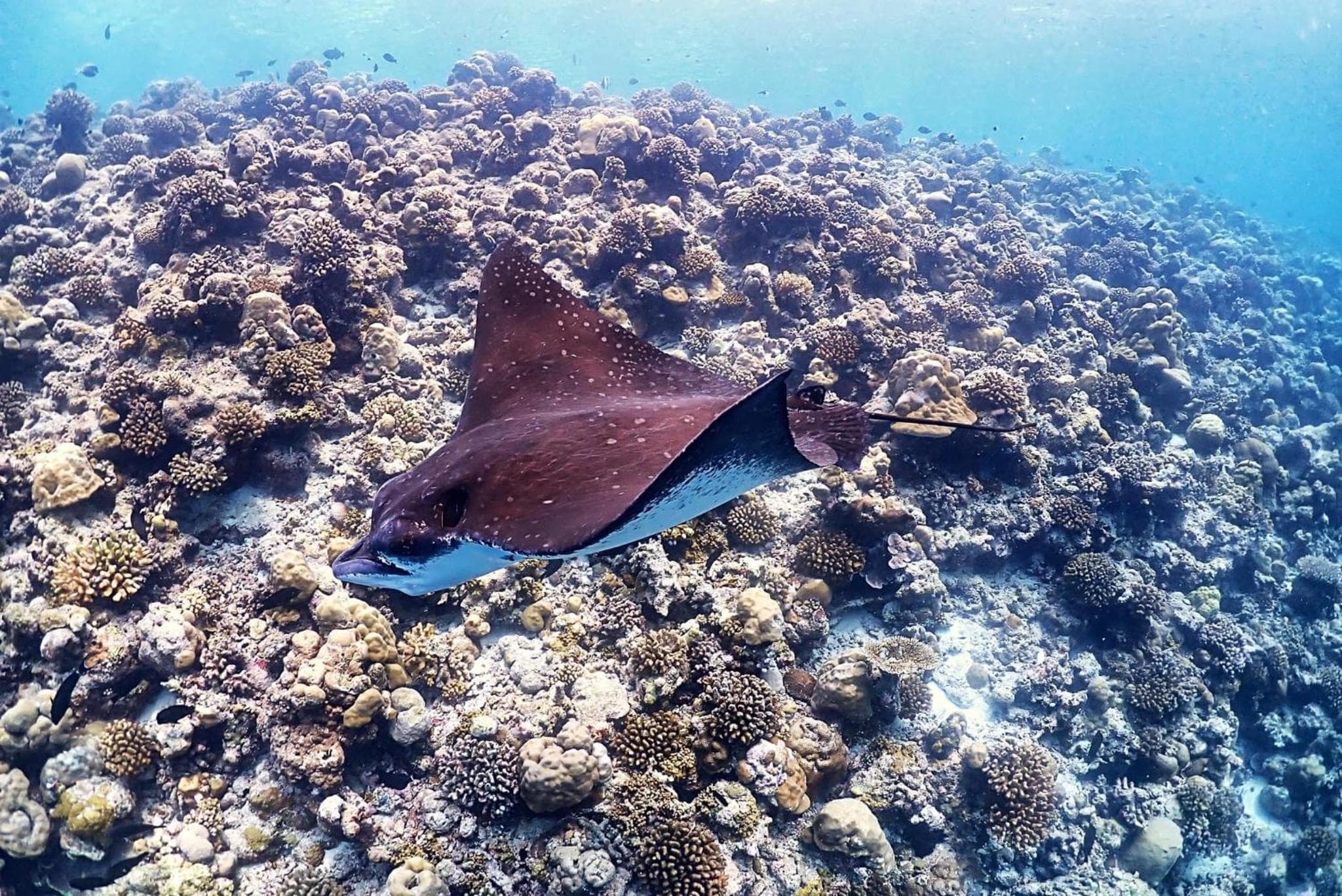 Rasdu View Inn - View 131