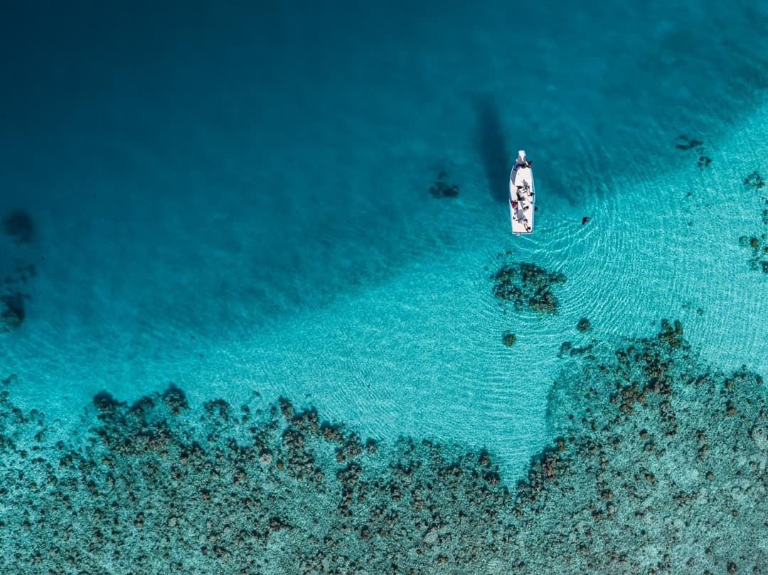 One The Island - View 42
