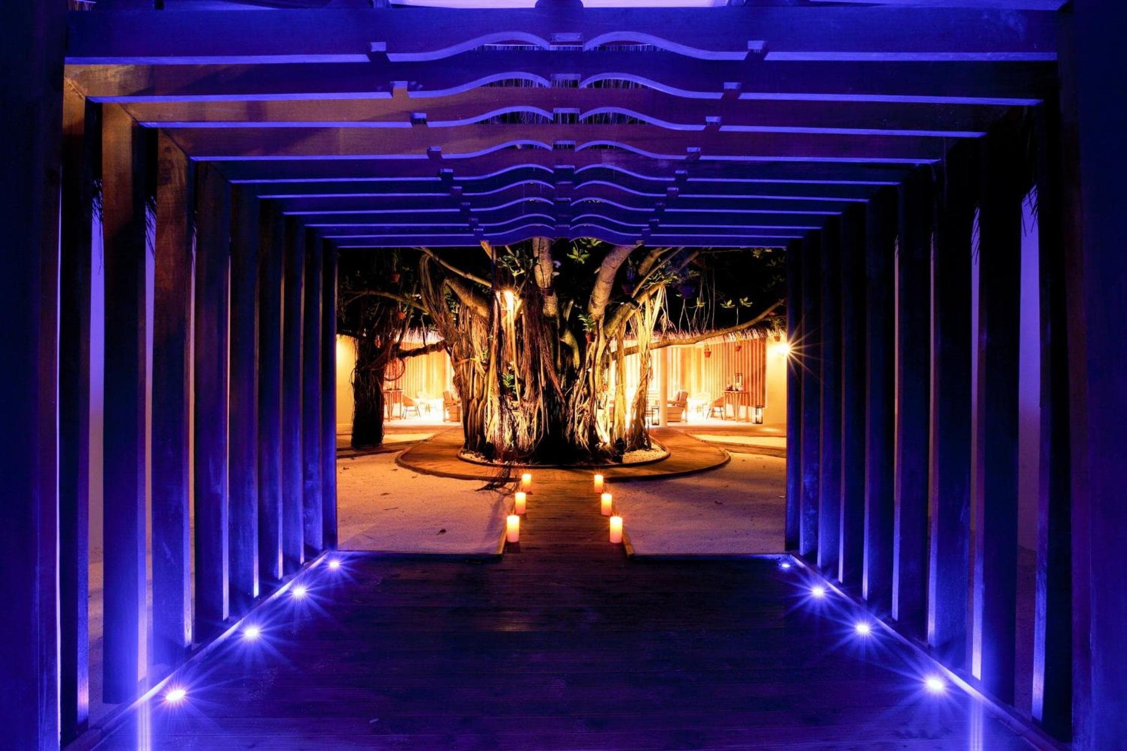 The Centara Collection, Machchafushi Island Resort & Spa Maldives - 30 percent discount on transfers for min 4 nights stay and more, valid for reservations - View 205