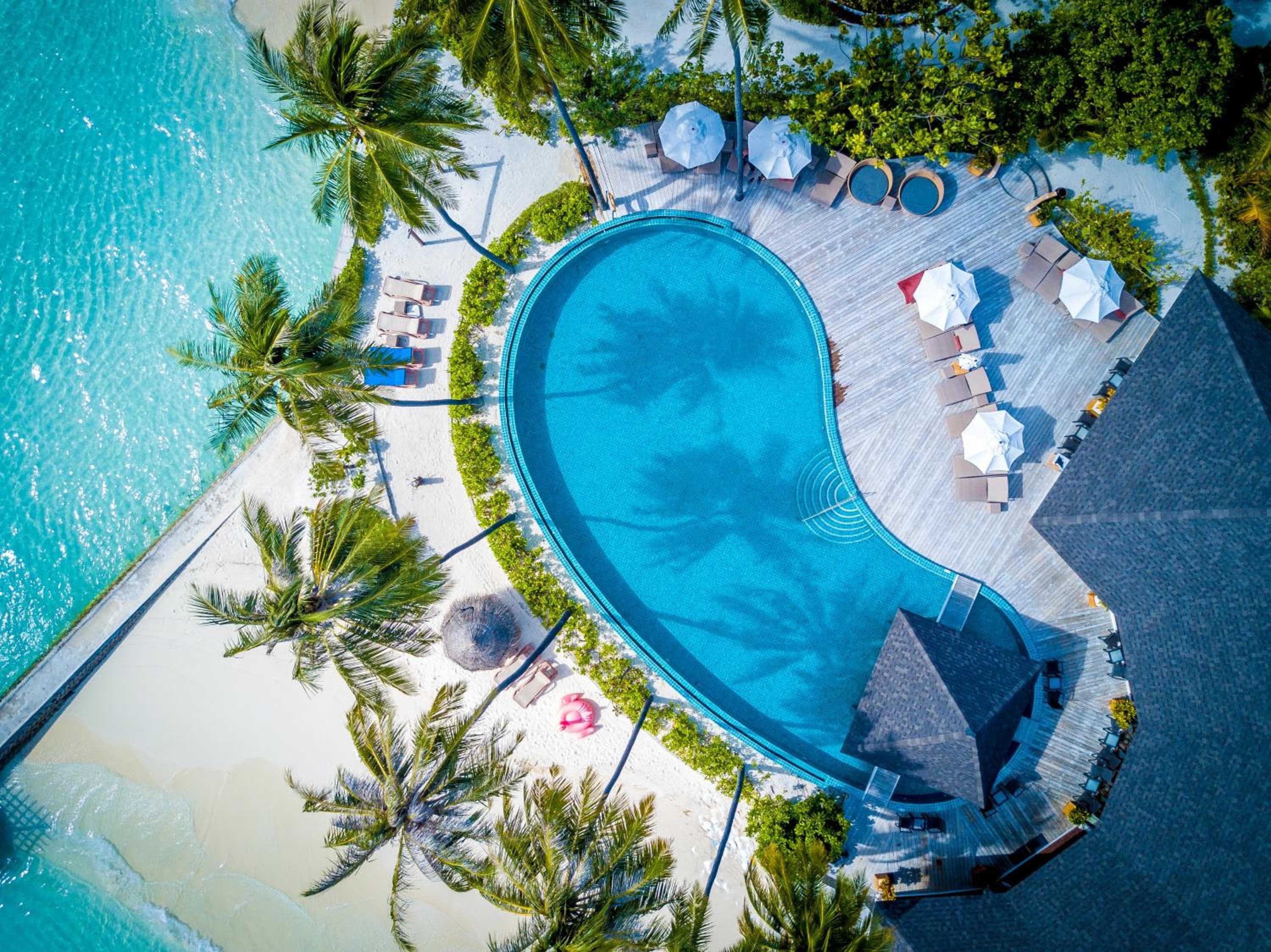 The Centara Collection, Machchafushi Island Resort & Spa Maldives - 30 percent discount on transfers for min 4 nights stay and more, valid for reservations - View 239