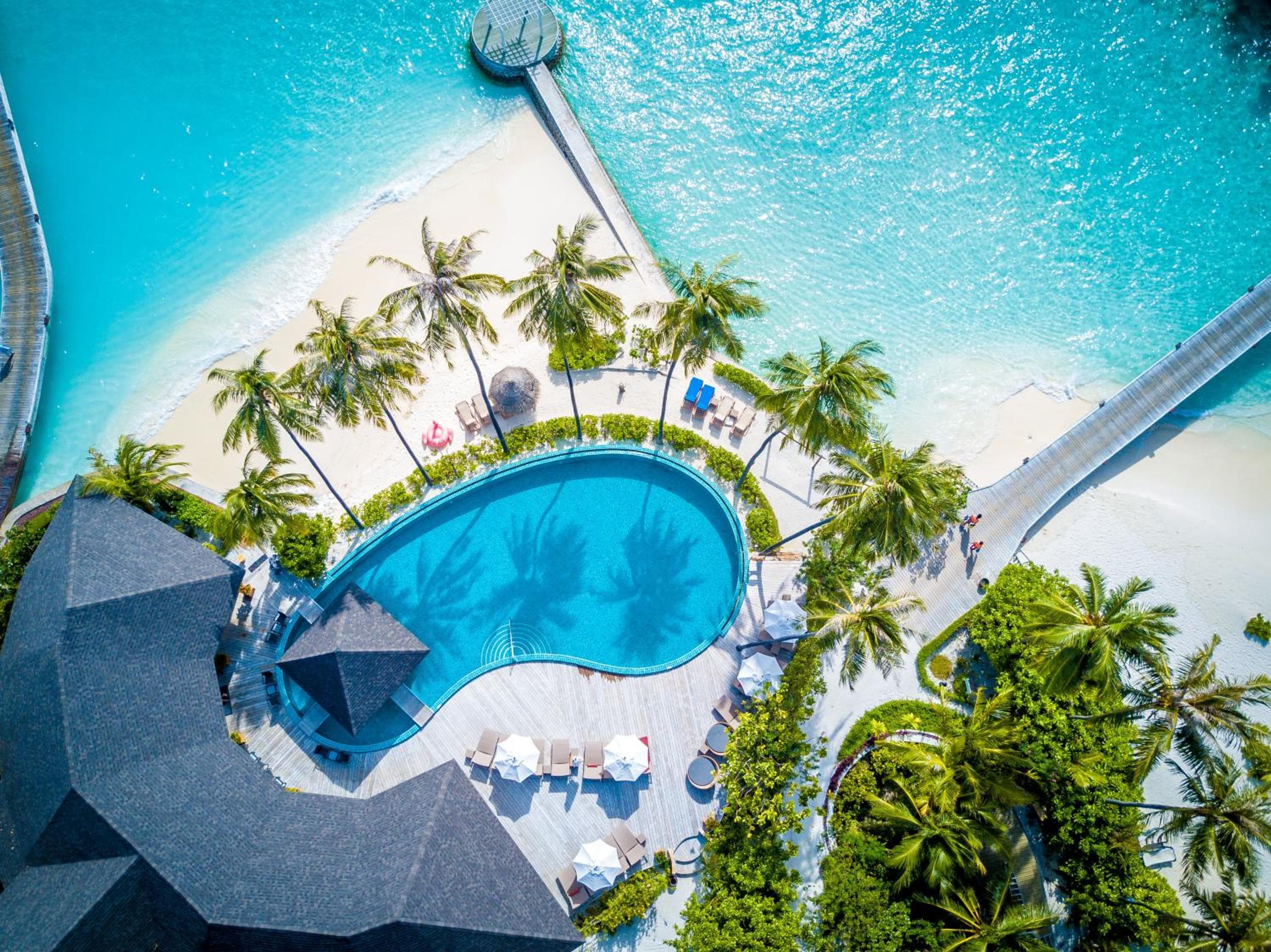 The Centara Collection, Machchafushi Island Resort & Spa Maldives - 30 percent discount on transfers for min 4 nights stay and more, valid for reservations - View 242
