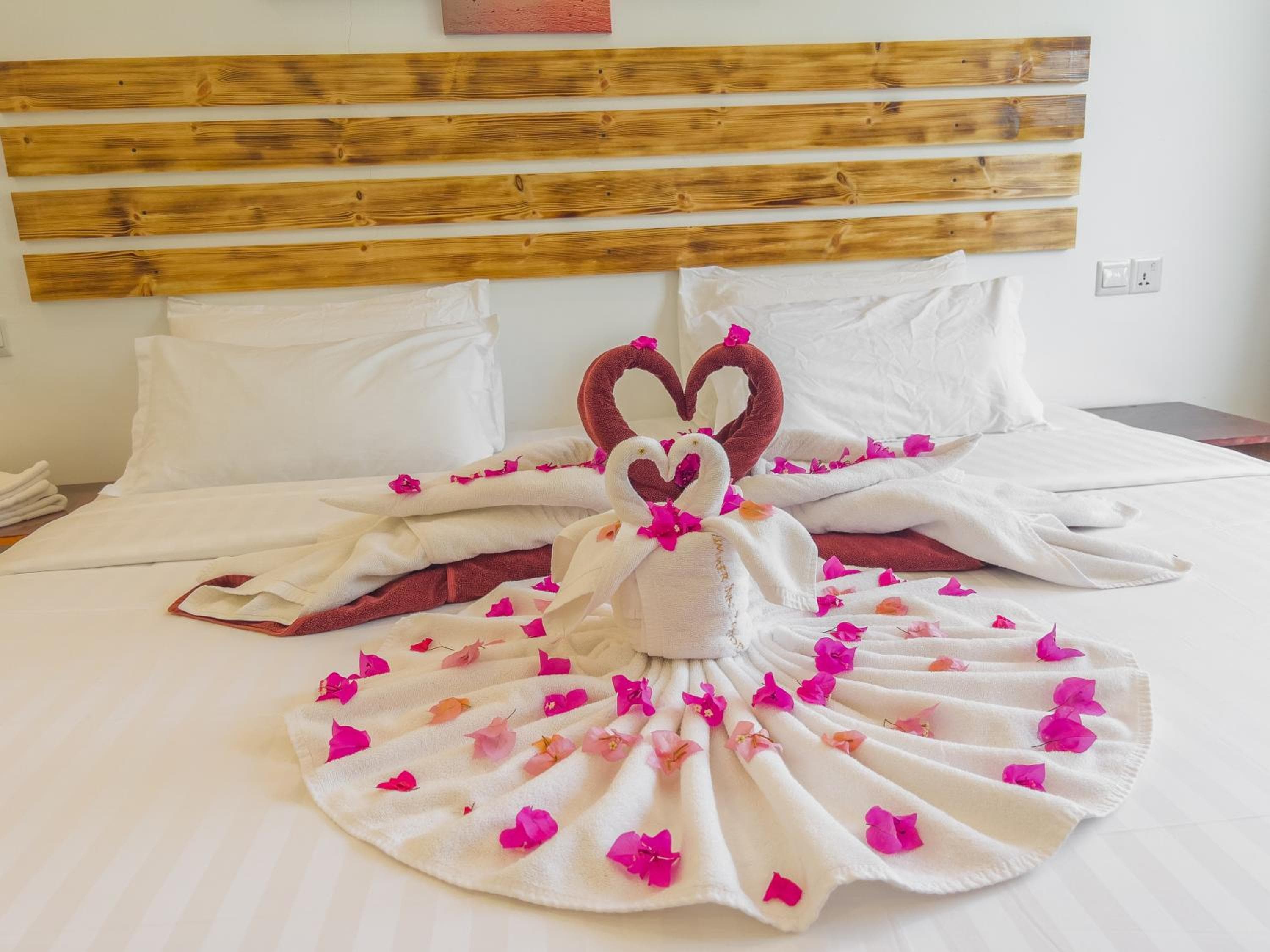 Summer inn Thoddoo - View 49