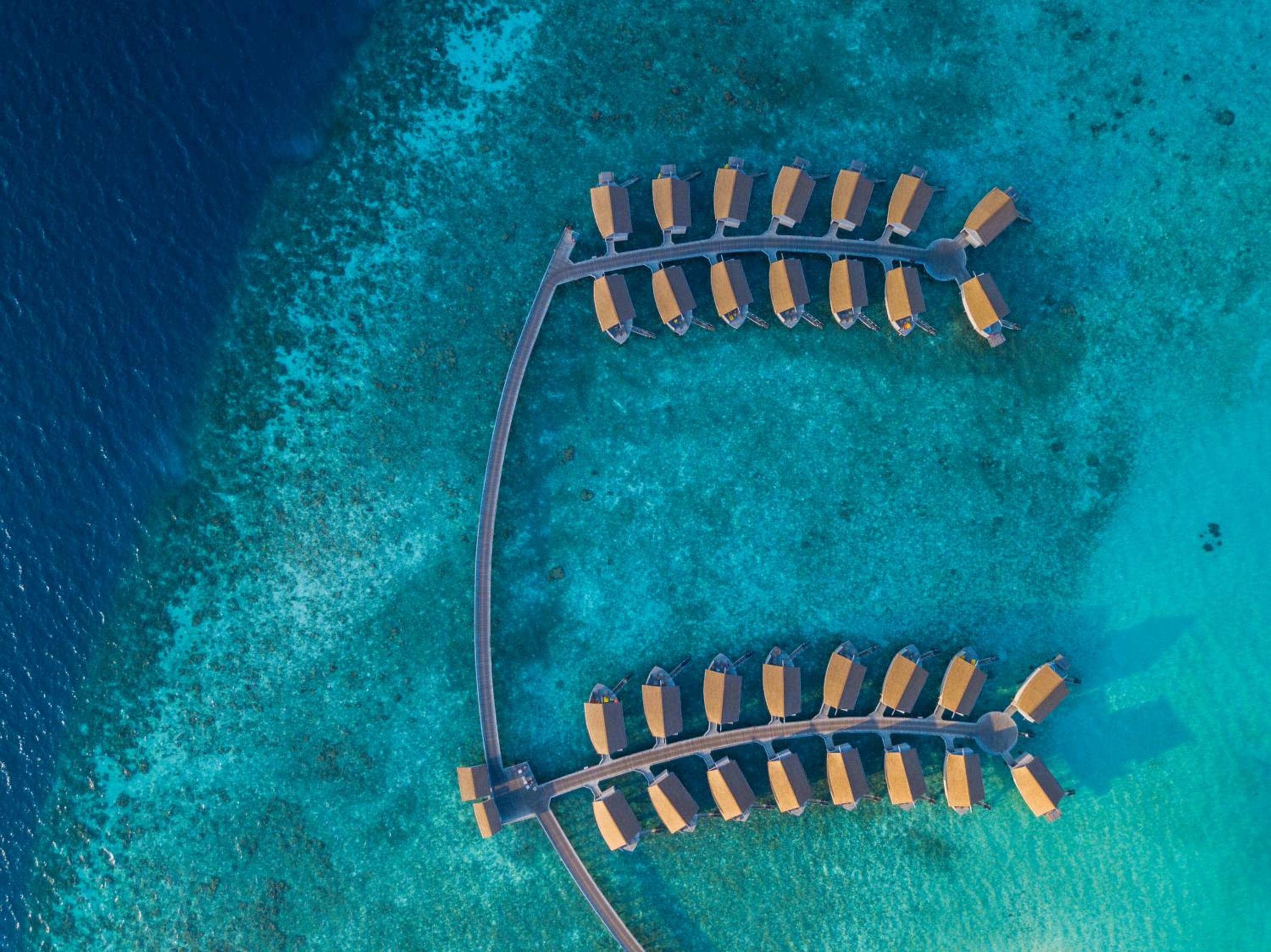 Centara Ras Fushi Resort & Spa Maldives - 50 percent discount on transfers for min 4 nights stay and more, valid for reservations between 11th Feb till 22  - View 95