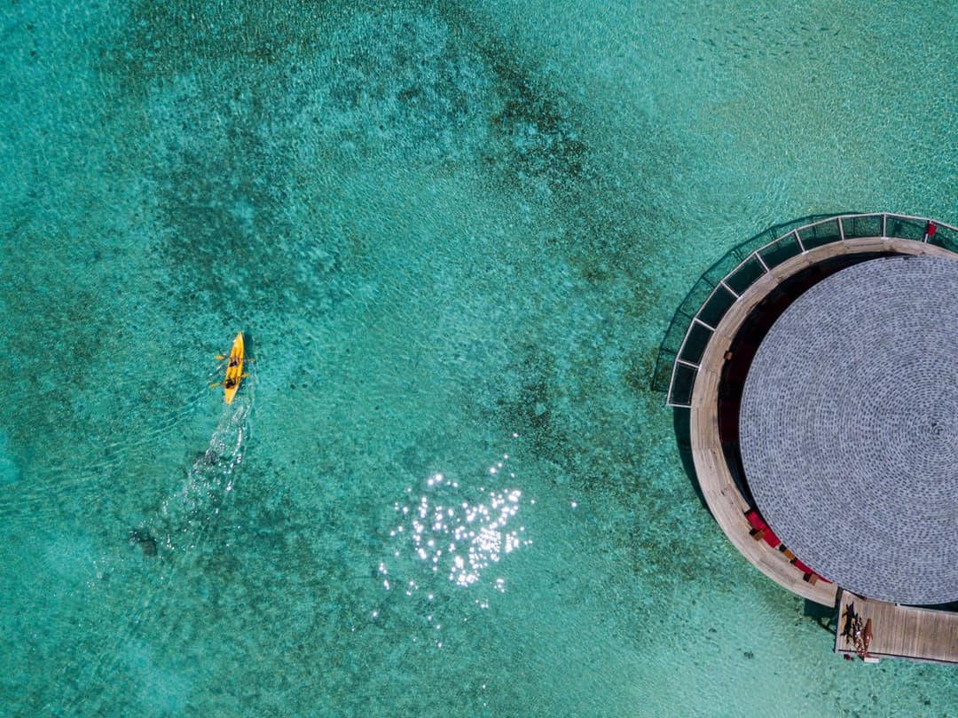 Centara Ras Fushi Resort & Spa Maldives - Stay 4 nights or more and enjoy 40 percent off Speedboat transfers, valid for stays from 6 Apr to 30 Sep 2026 - View 31
