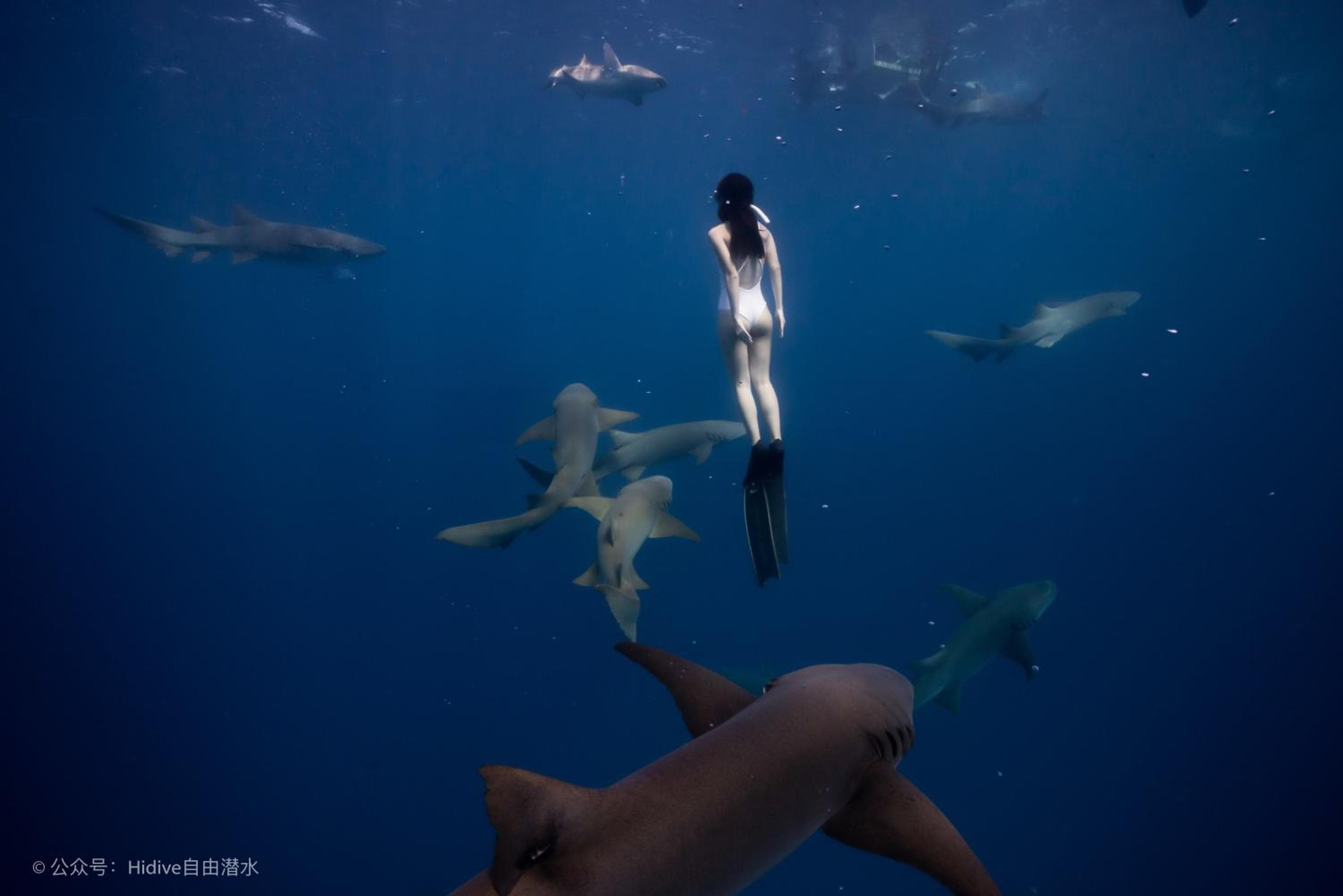 Sunrise by white sand dhigurah - View 25