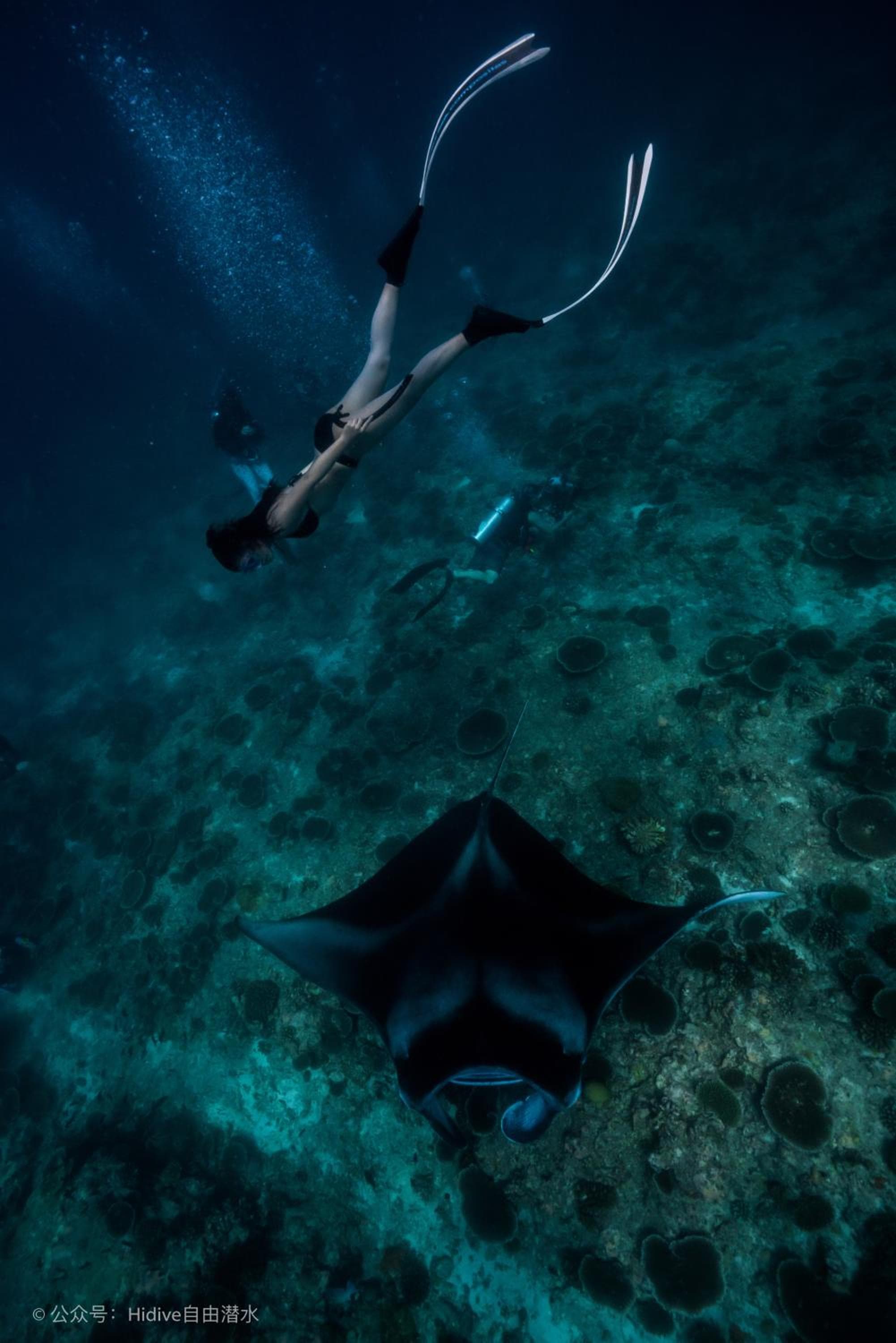 Sunrise by white sand dhigurah - View 24