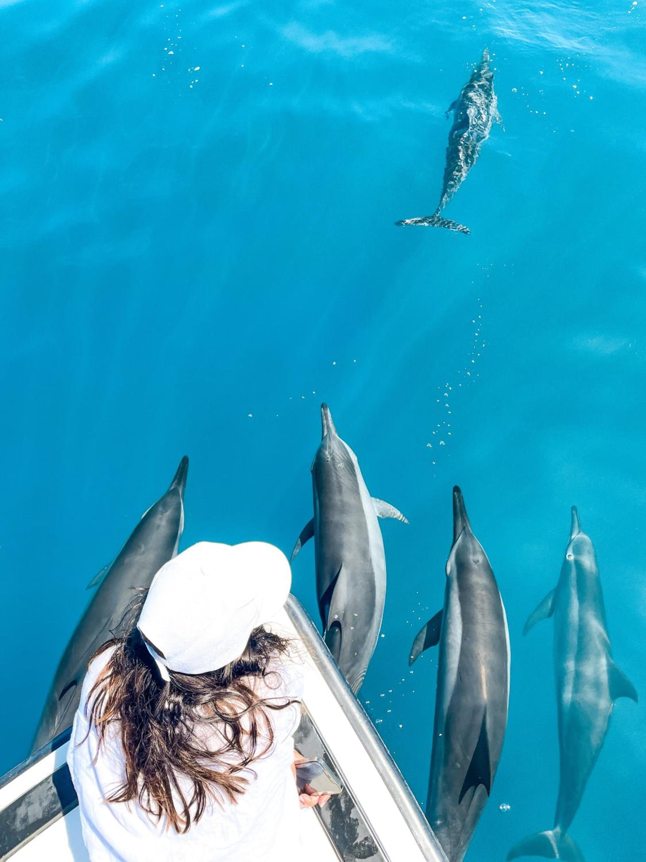 Araamu Hotels Maldives at Dhiffushi - View 5