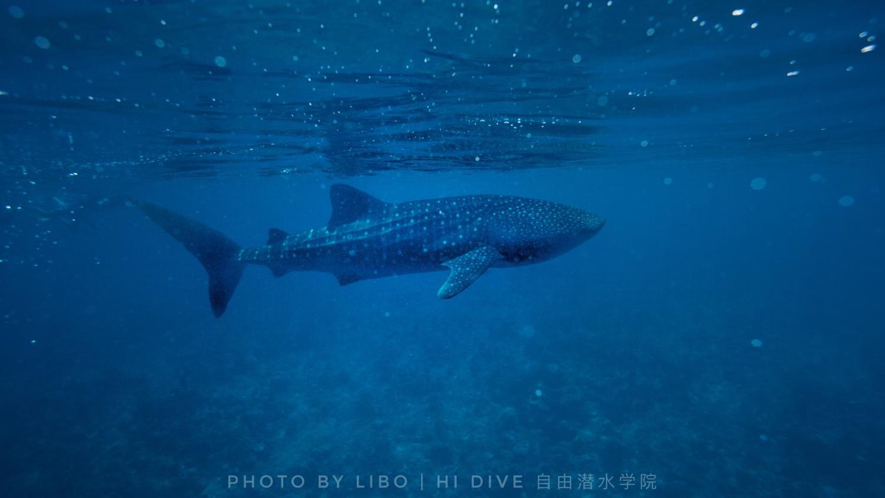 Sunrise by white sand dhigurah - View 1