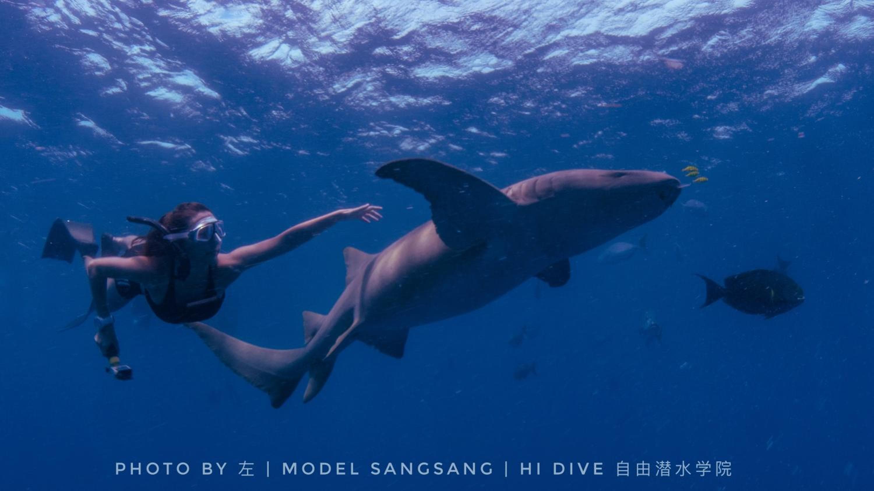 Sunrise by white sand dhigurah - View 29