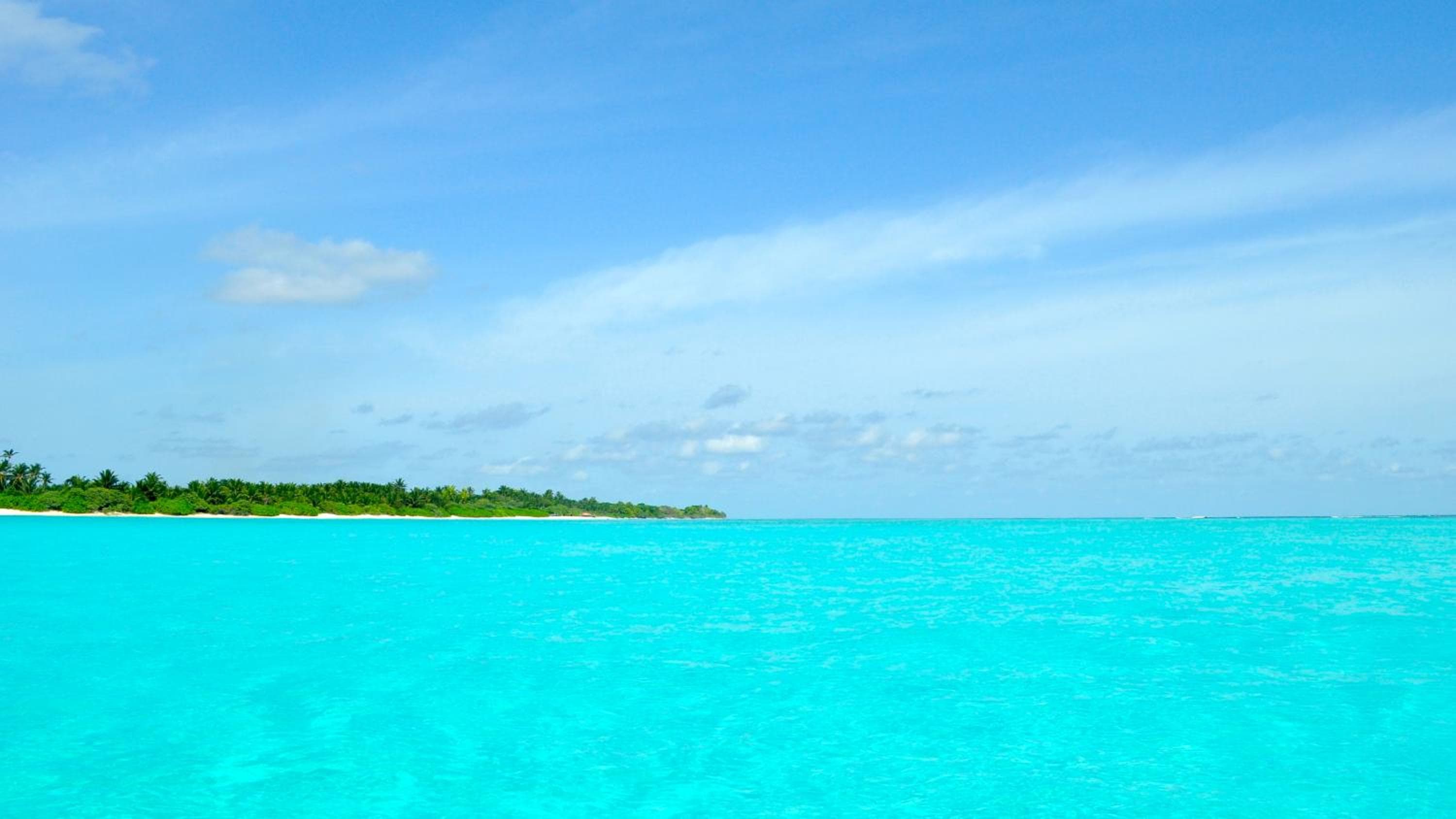 Holiday Cottage Thoddoo, Maldives - View 63