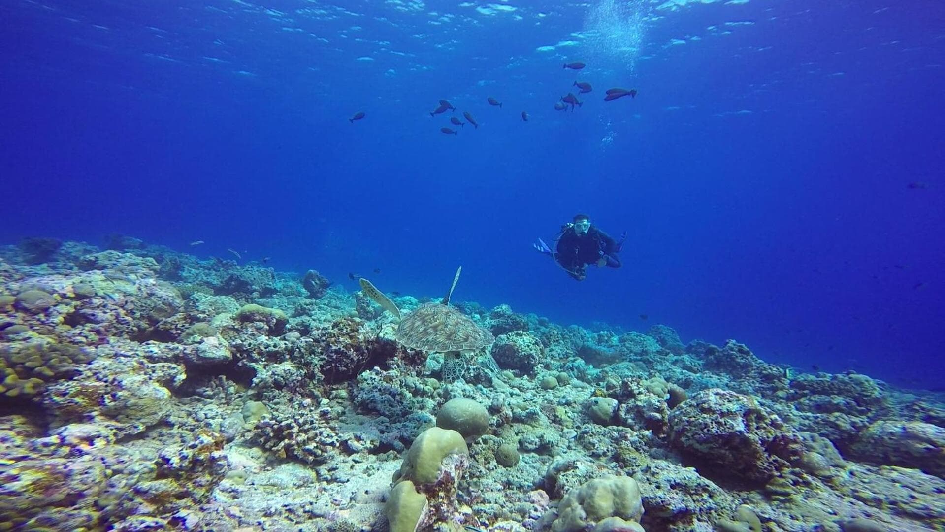 Sky Beach Maldives - Dhiffushi - View 39