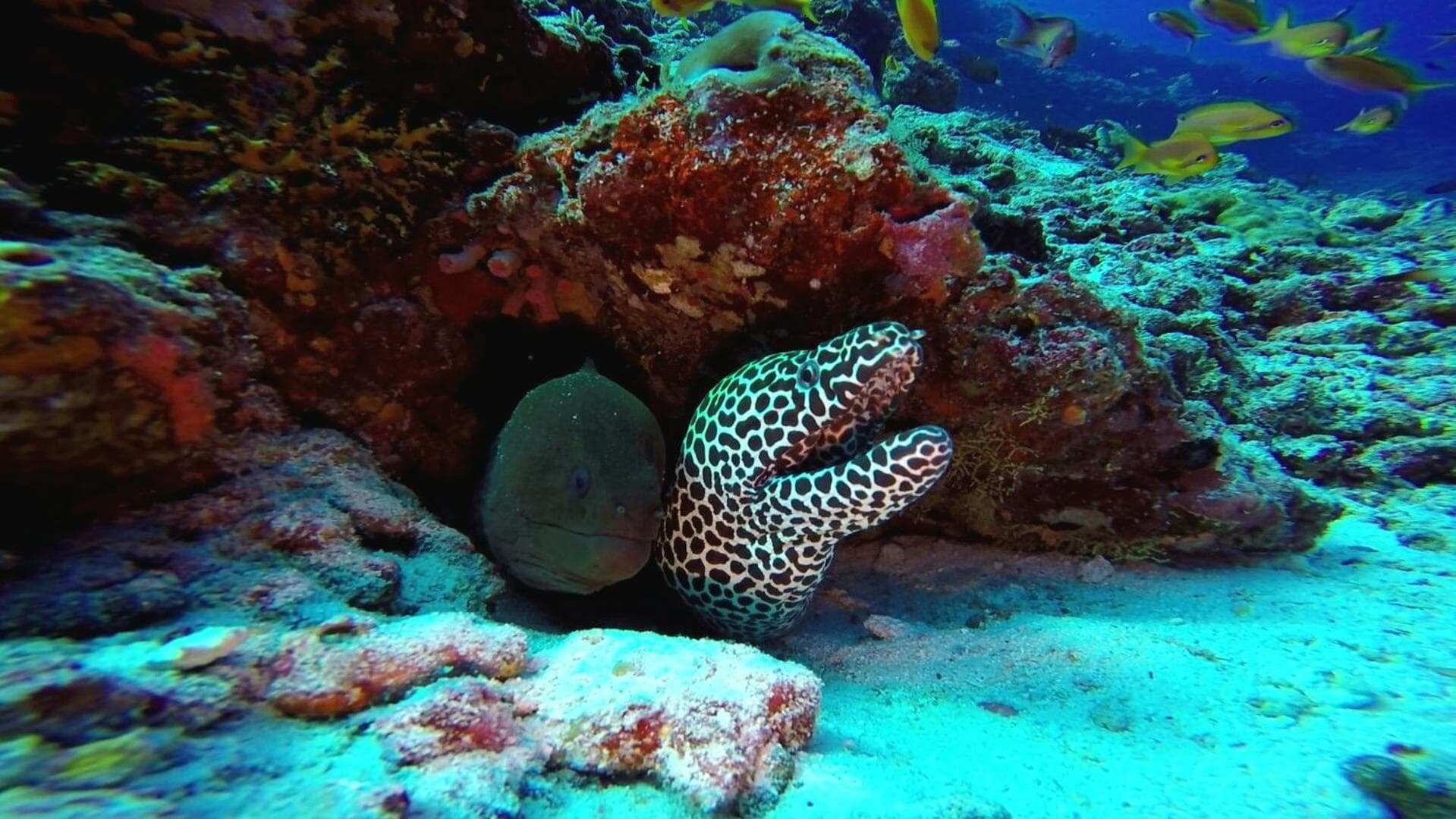 Sky Beach Maldives - Dhiffushi - View 40