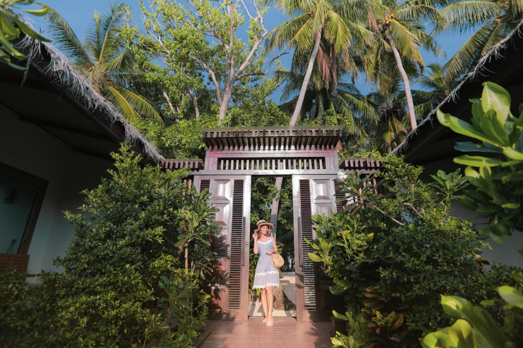 Plumeria Maldives - View 3