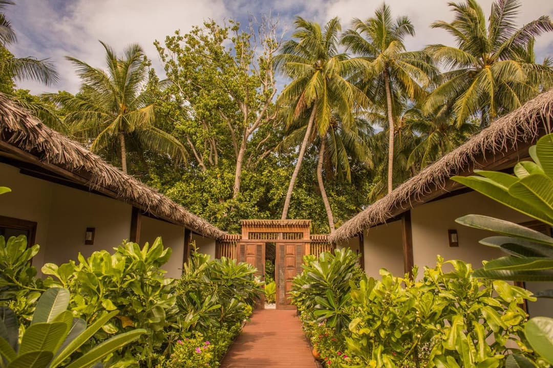 Plumeria Maldives - View 51