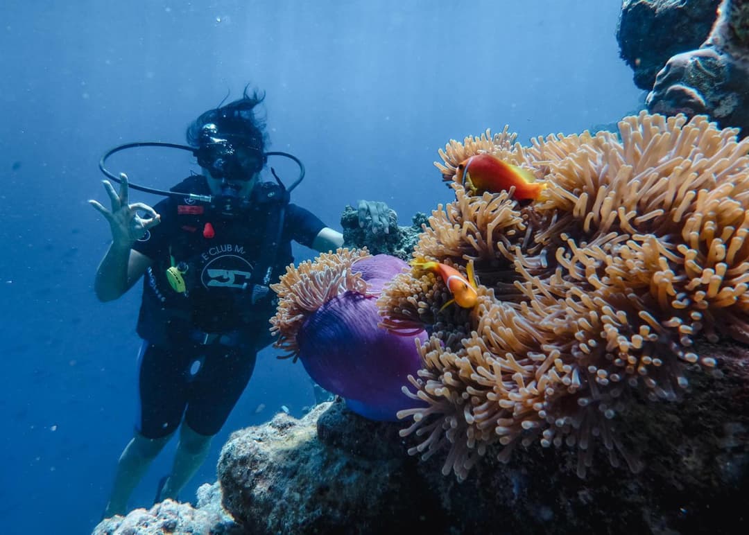 Furaveri Maldives - COMPLIMENTARY ROUND-TRIP SEAPLANE TRANSFER FOR TWO FOR A MINIMUM OF 5 NIGHTS OR MORE FOR STAYS 1ST MAY 2026 TO 23RD DECEMBER 2026 - View 61