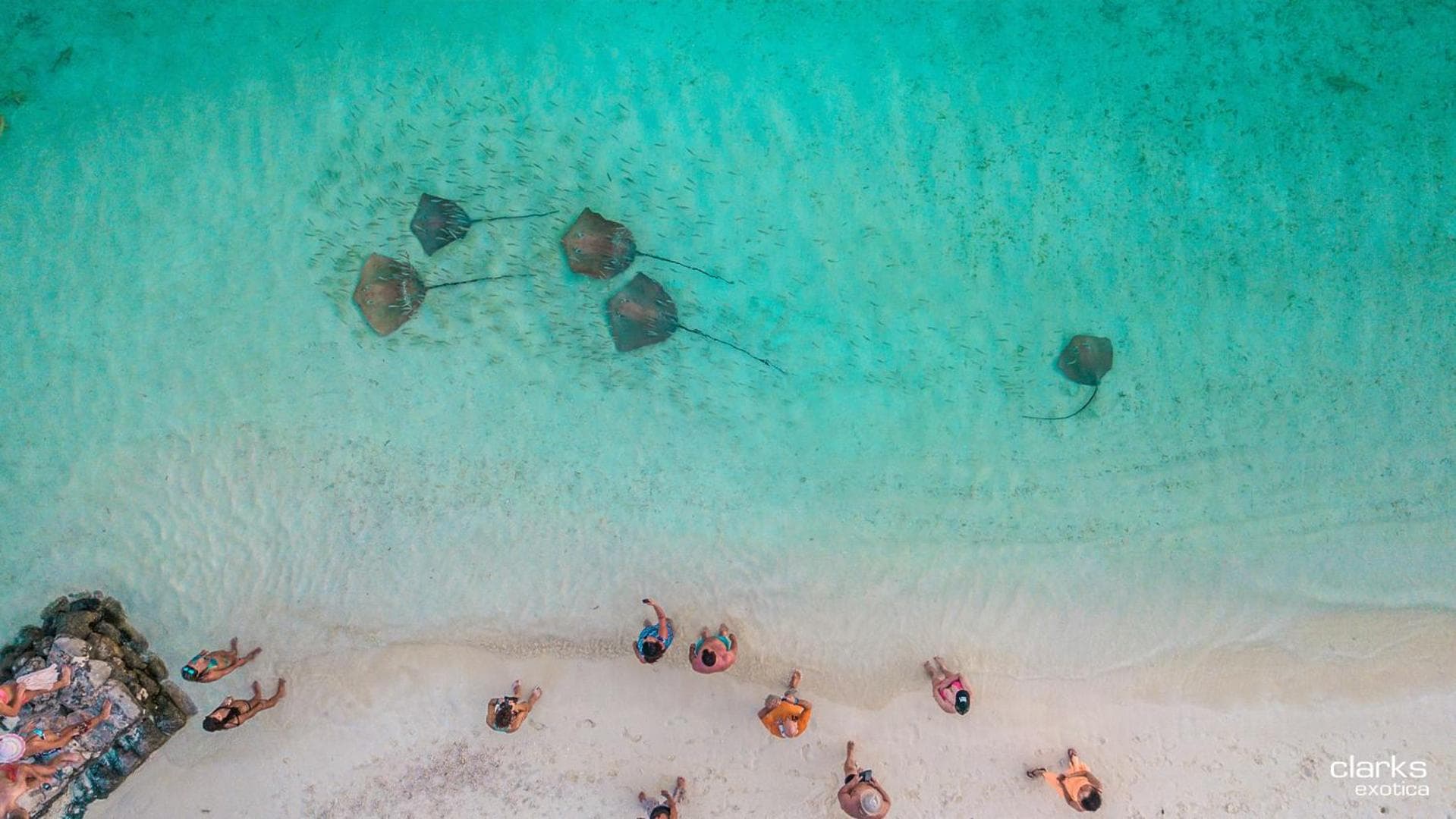 Swarn by Hawks Hotels Kamadhoo Baa Atoll - View 29