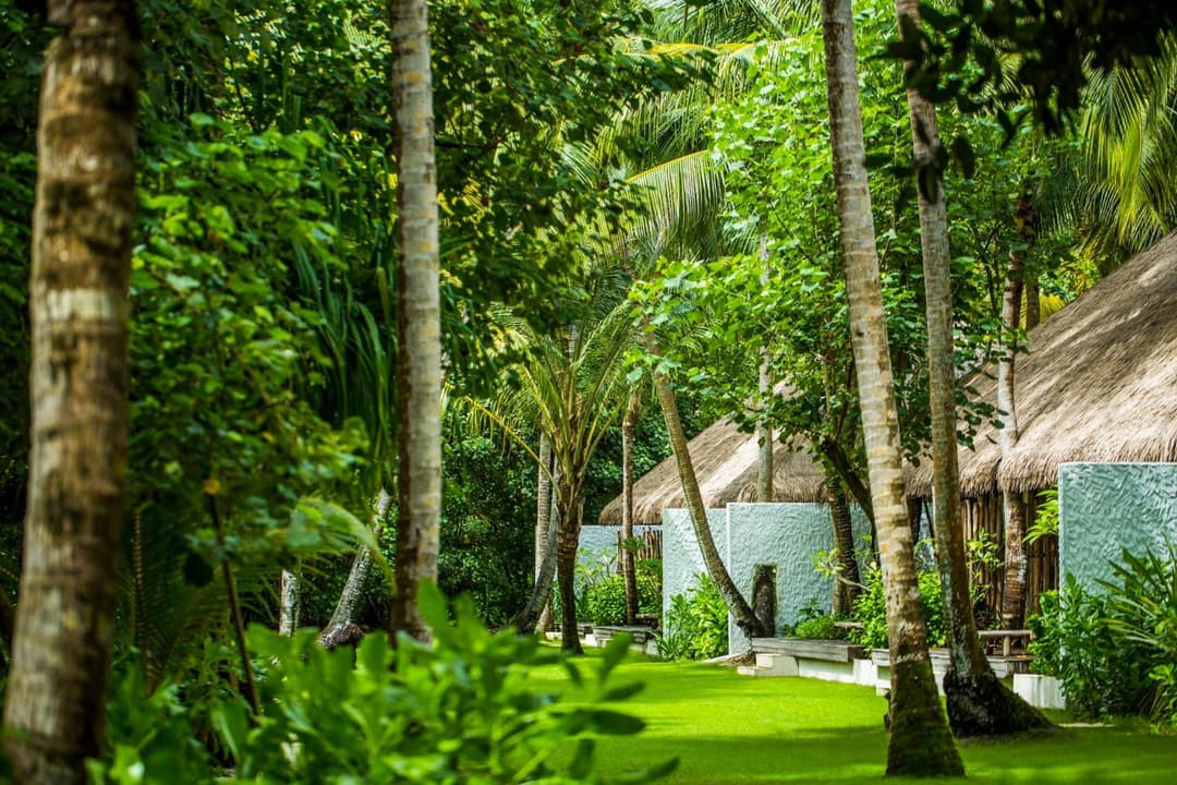 COMO Maalifushi - View 20