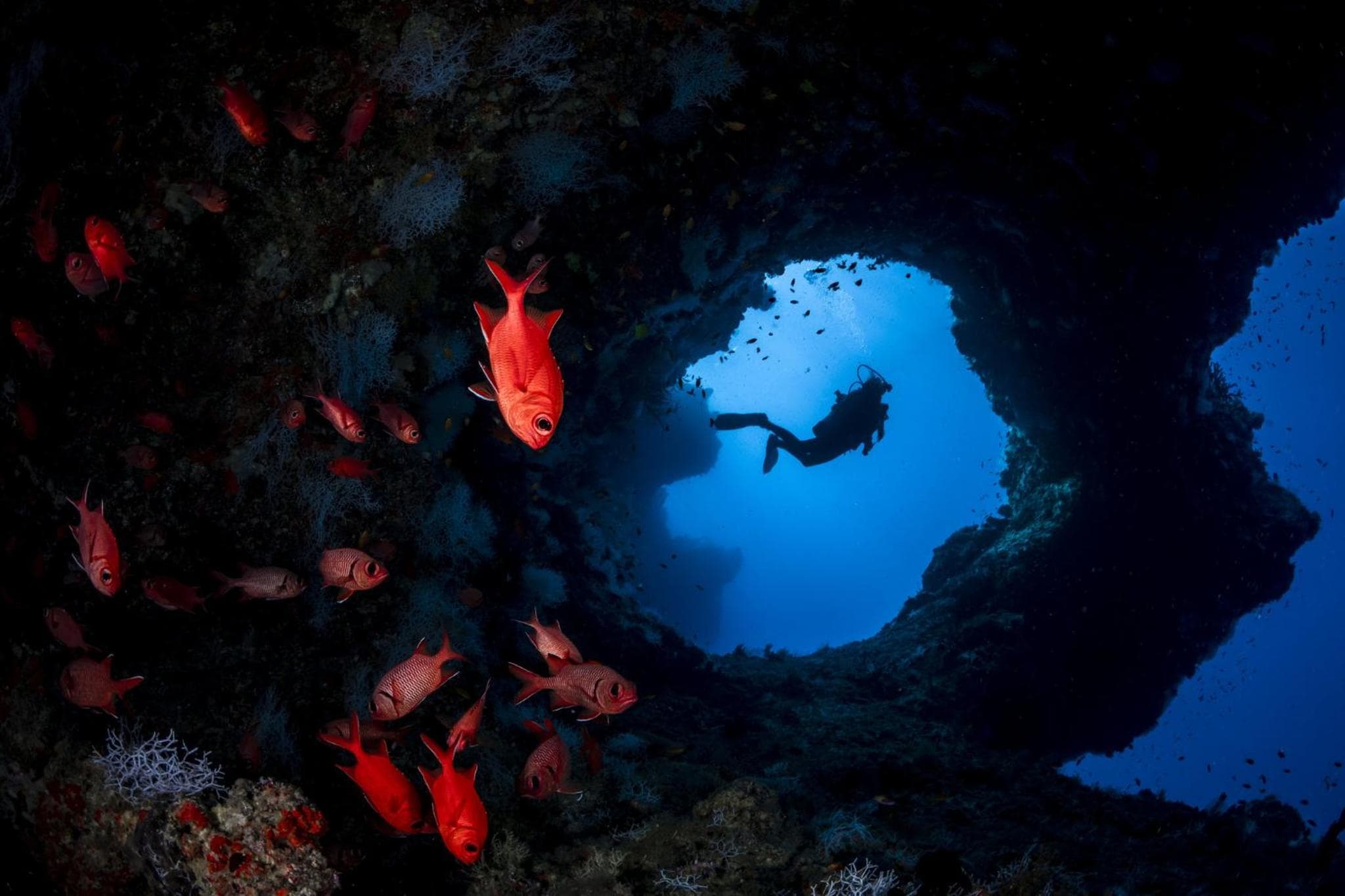 COMO Cocoa Island - Partner Travels FREE for 7 Nights or More - View 98