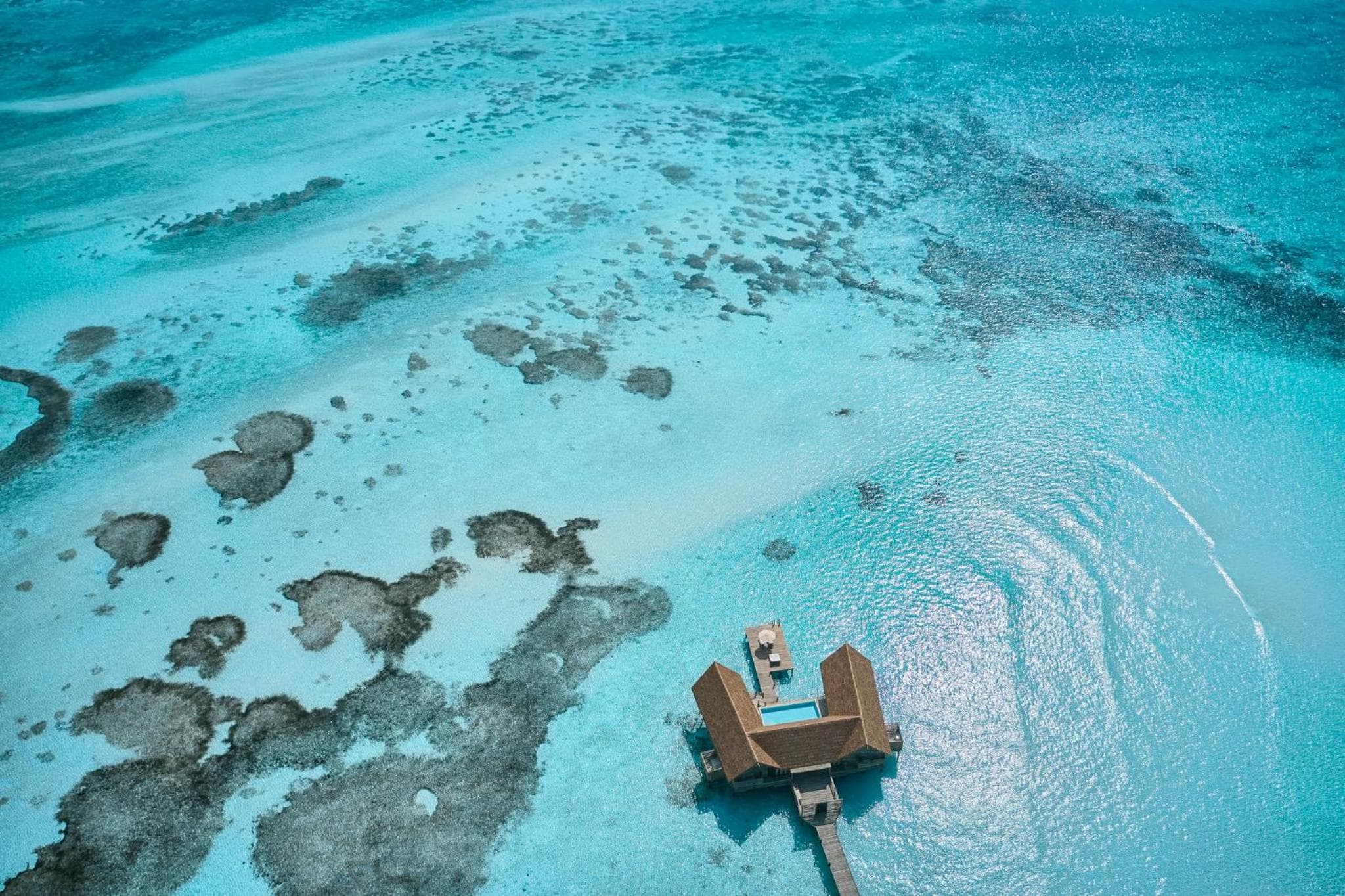 COMO Cocoa Island - Partner Travels FREE for 7 Nights or More - View 9