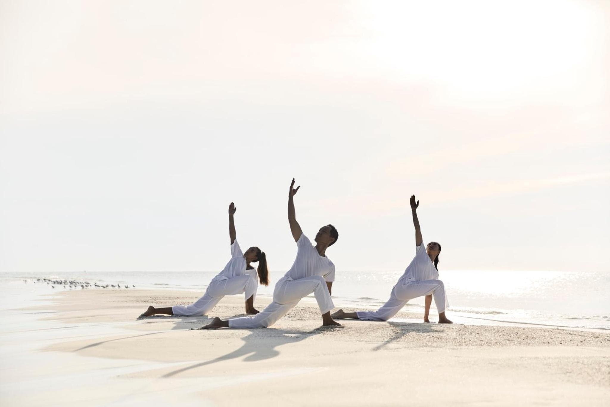 COMO Cocoa Island - Partner Travels FREE for 7 Nights or More - View 94