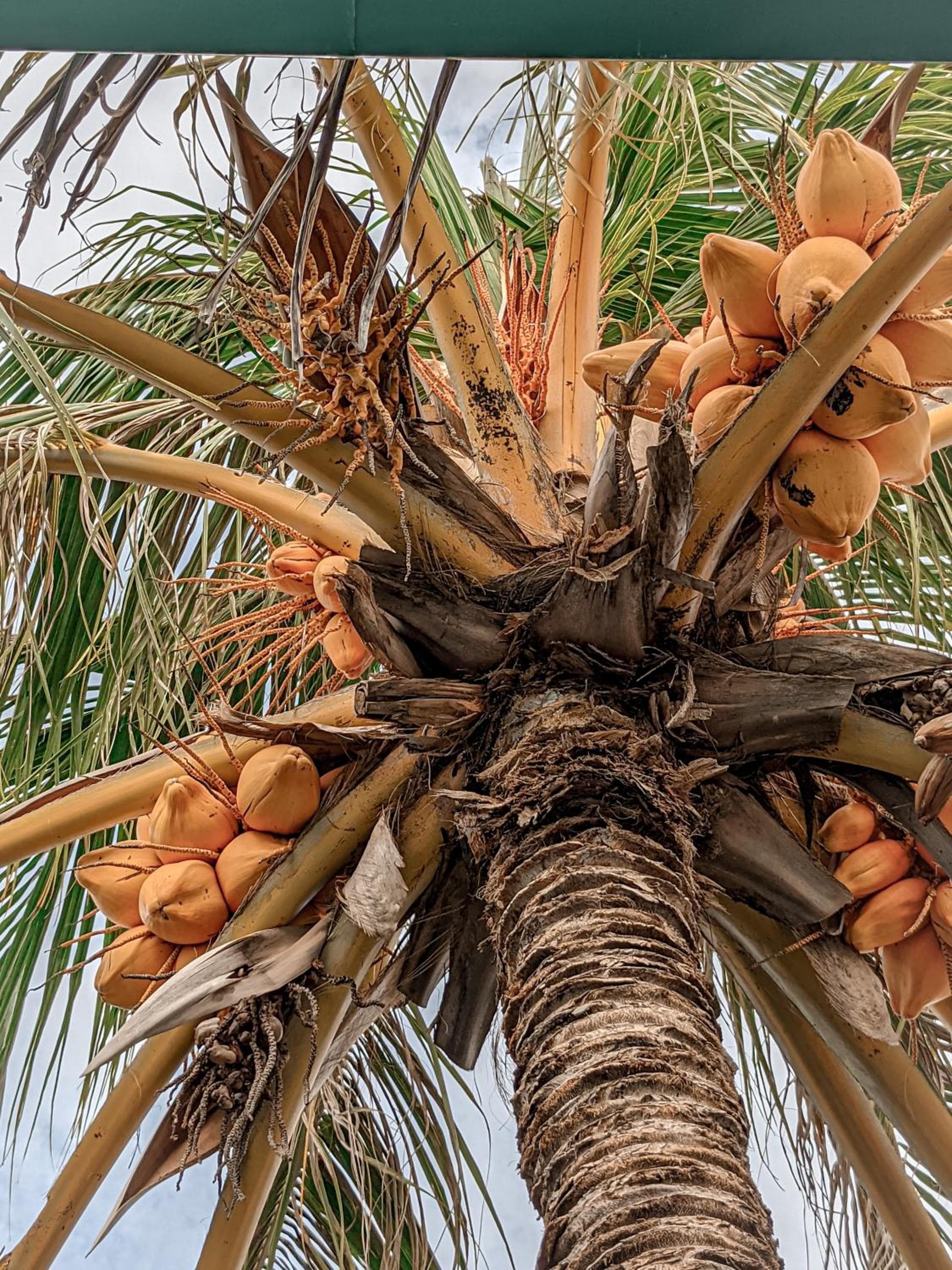 Dhoadhi Retreat - View 20