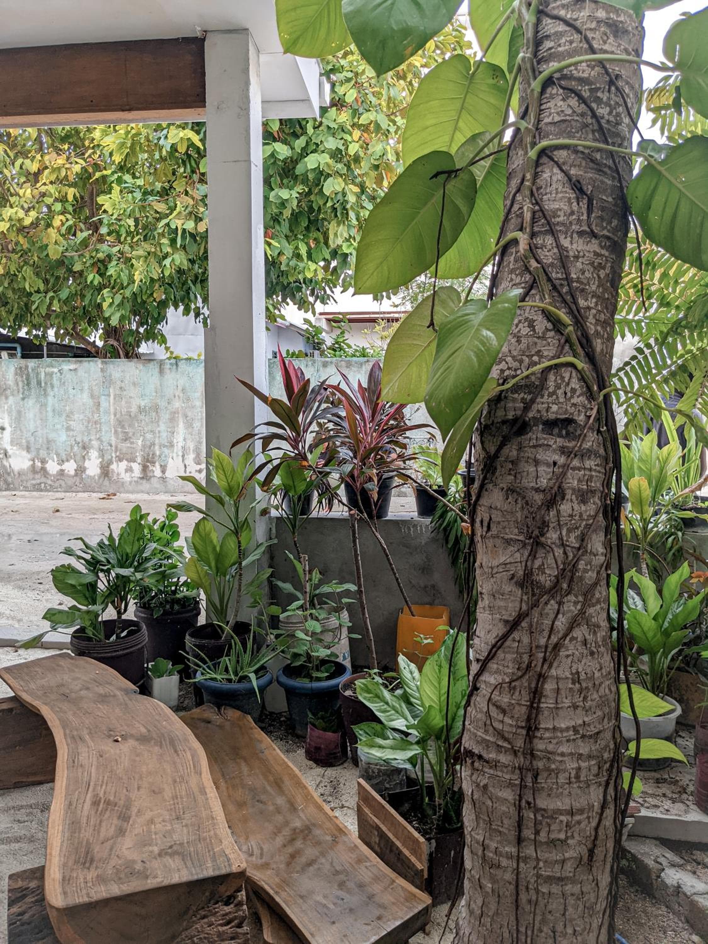 Dhoadhi Retreat - View 23