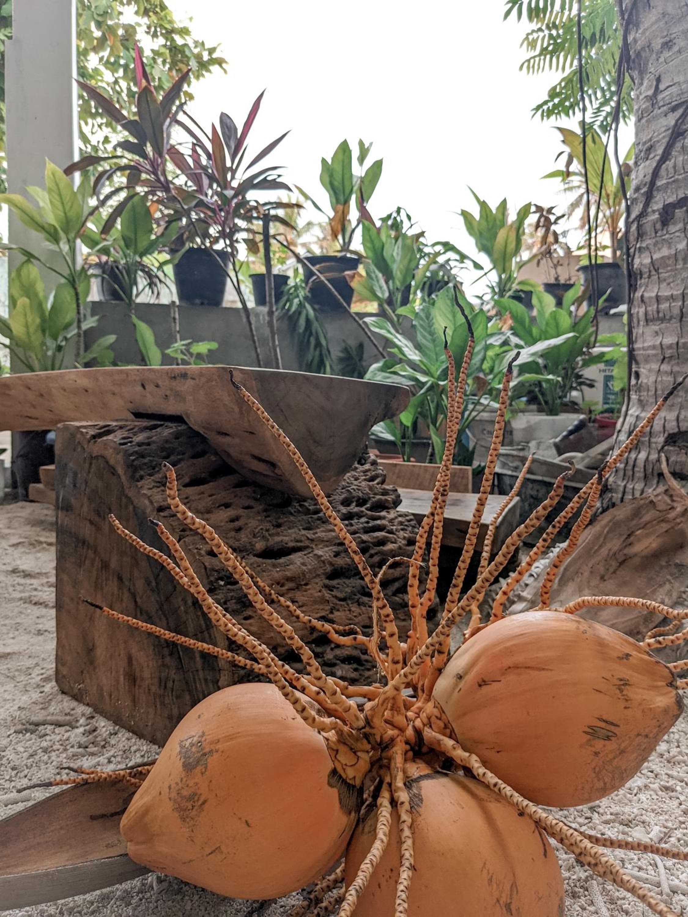 Dhoadhi Retreat - View 26