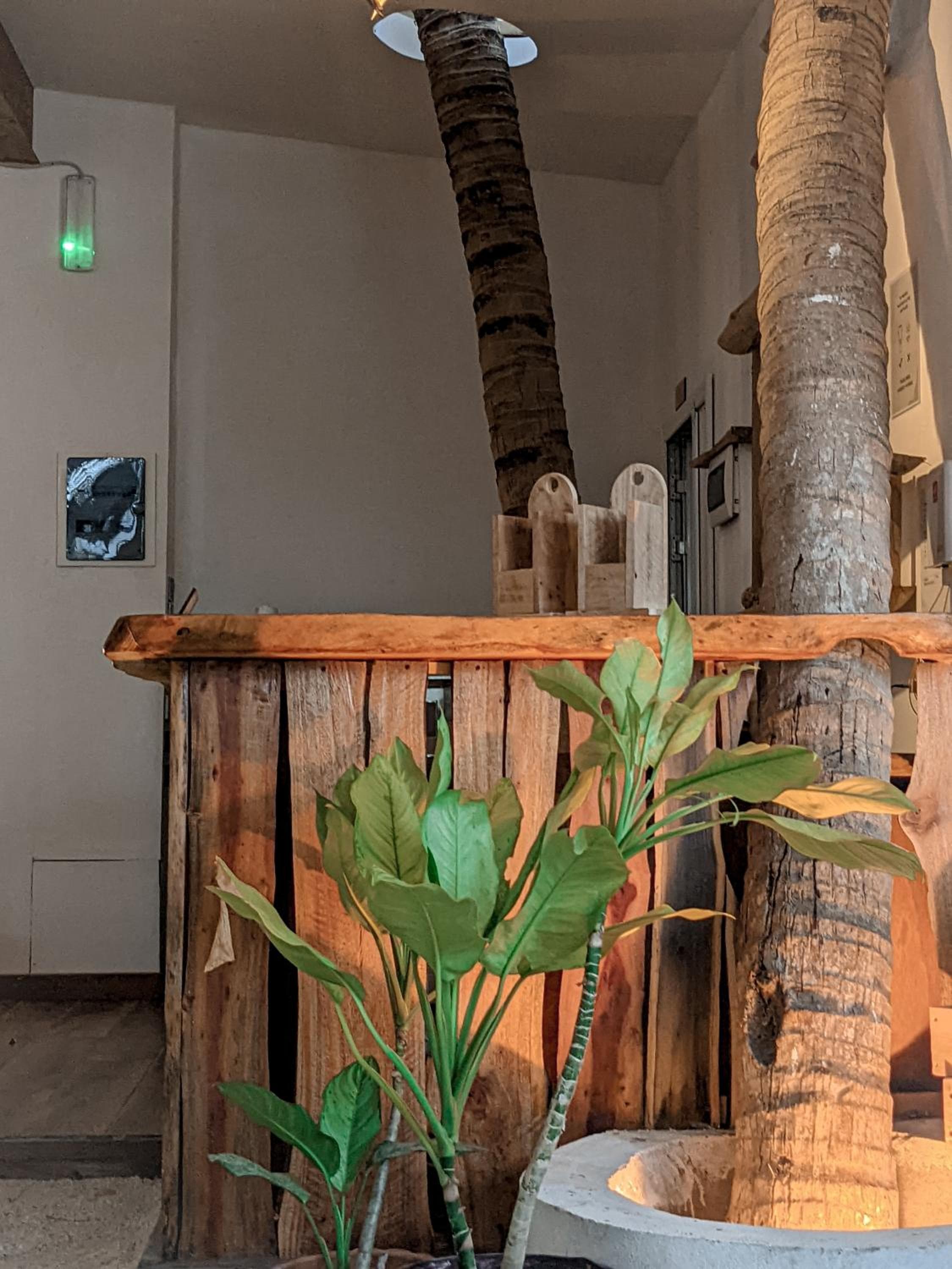 Dhoadhi Retreat - View 27