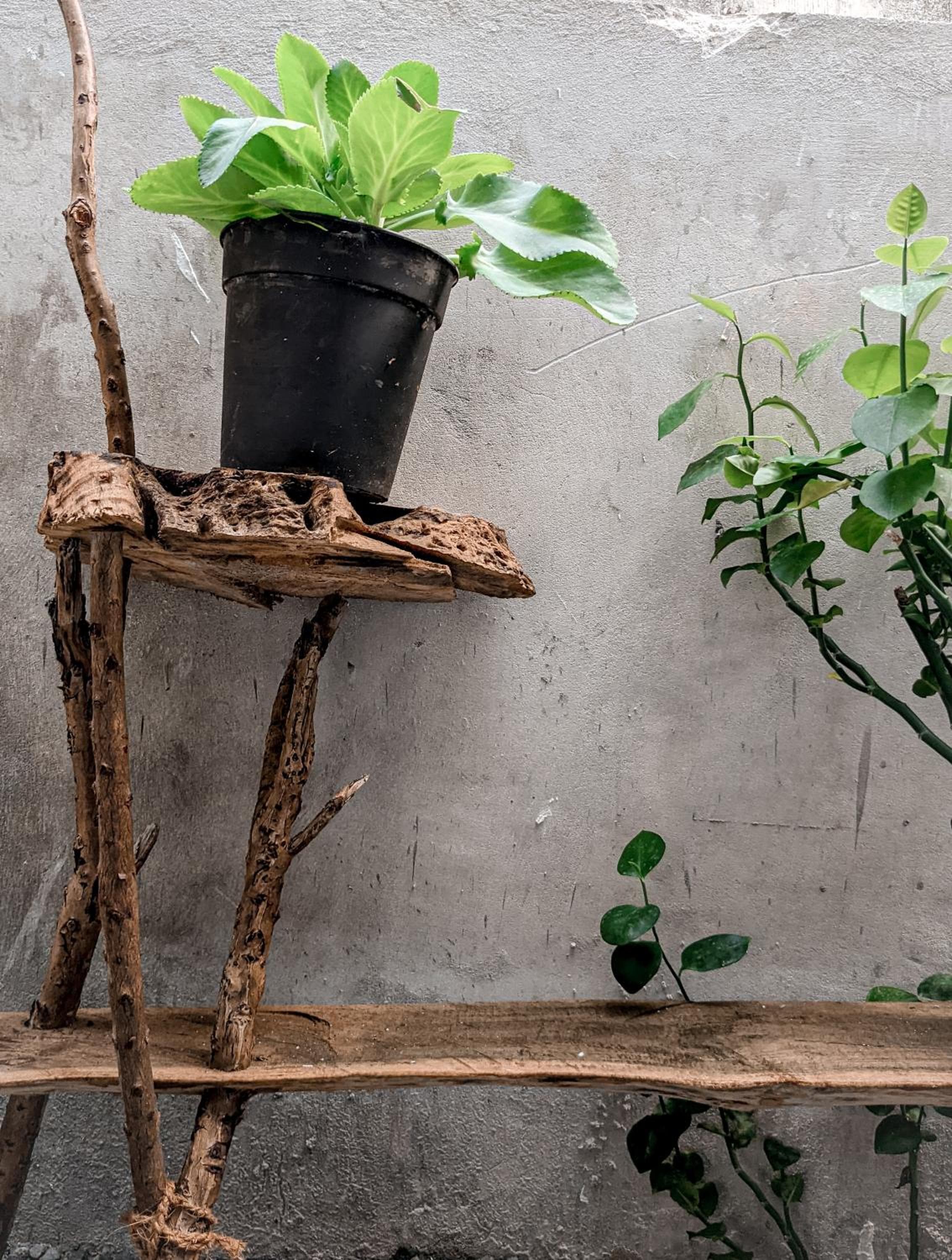 Dhoadhi Retreat - View 28