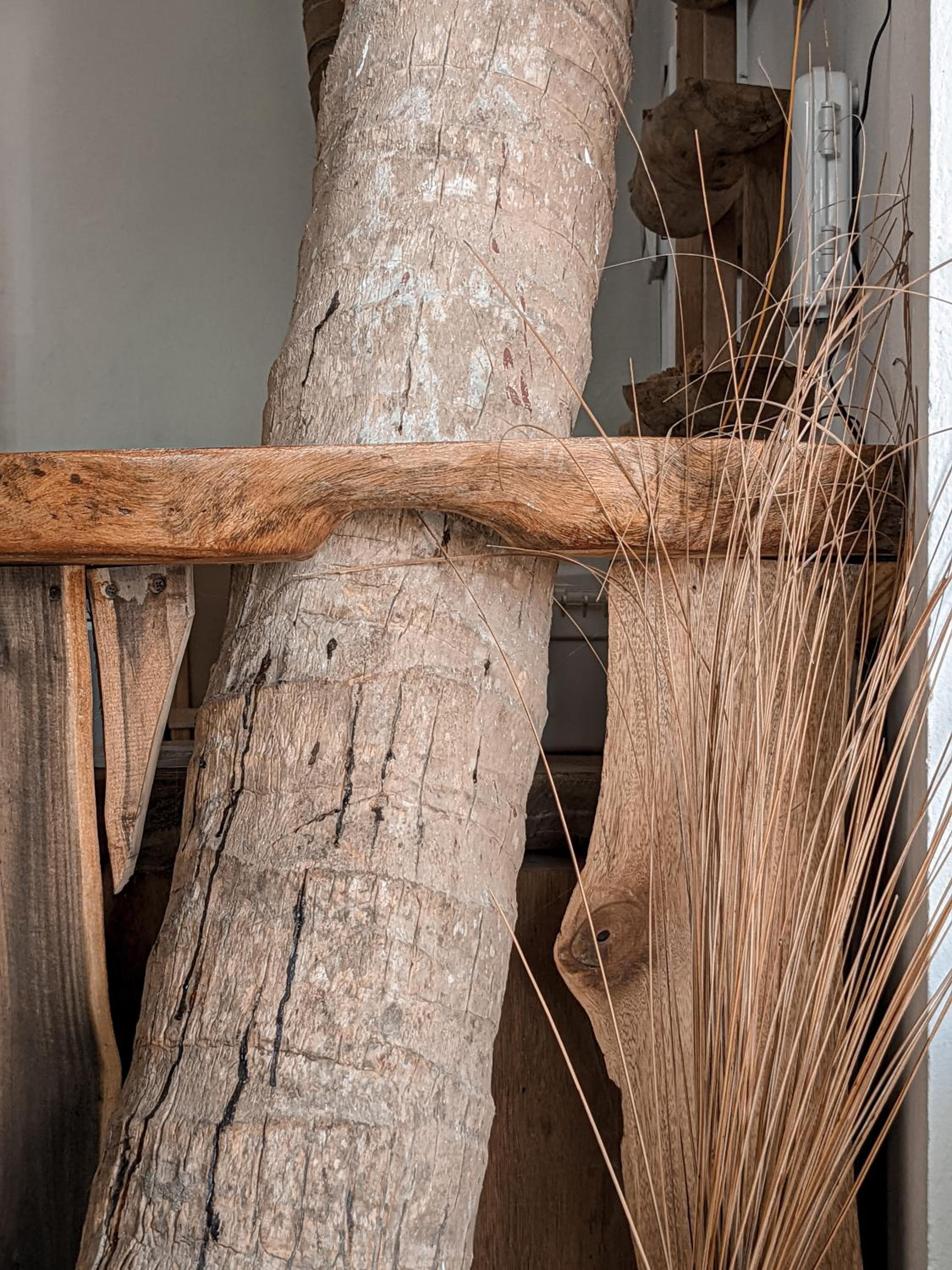 Dhoadhi Retreat - View 29