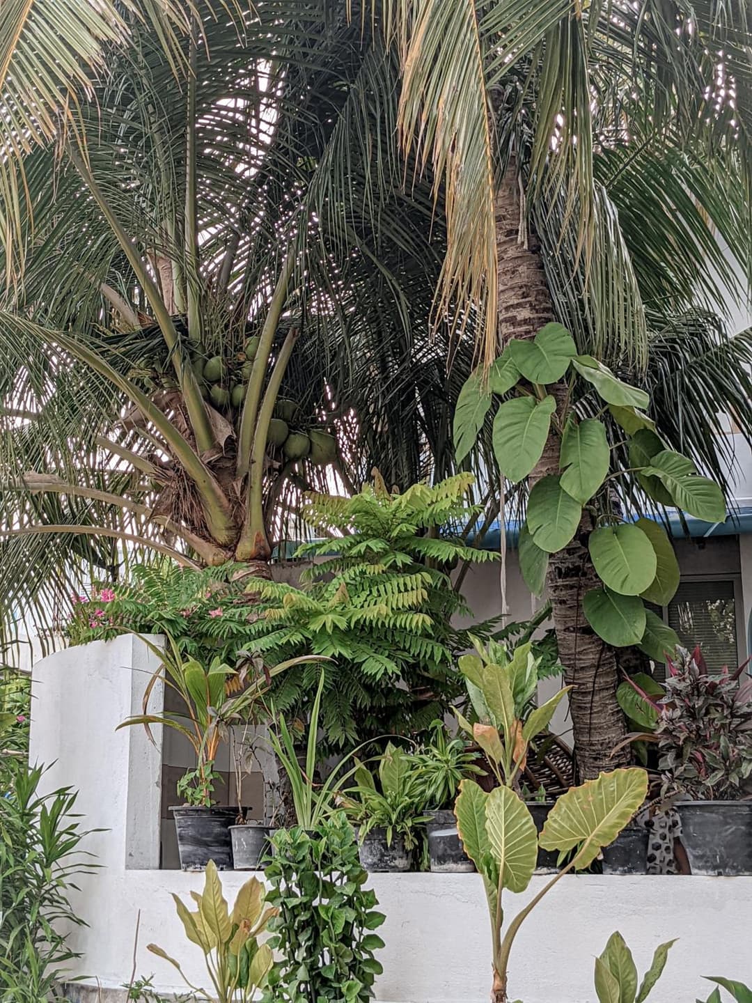 Dhoadhi Retreat - View 34