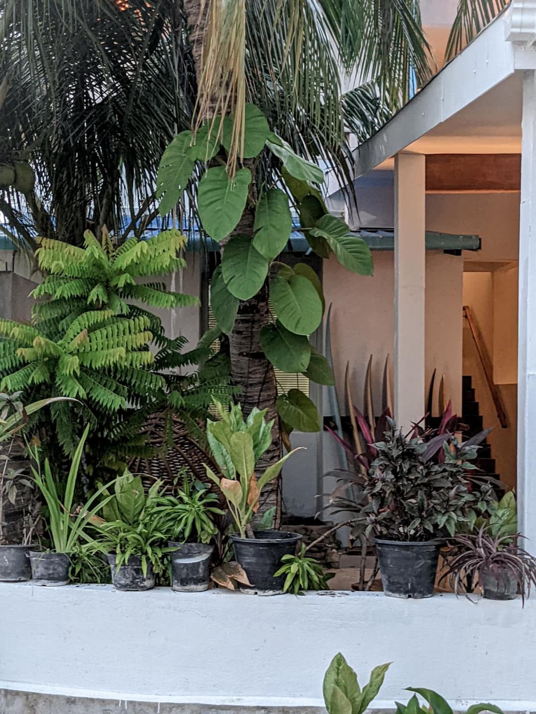 Dhoadhi Retreat - View 46