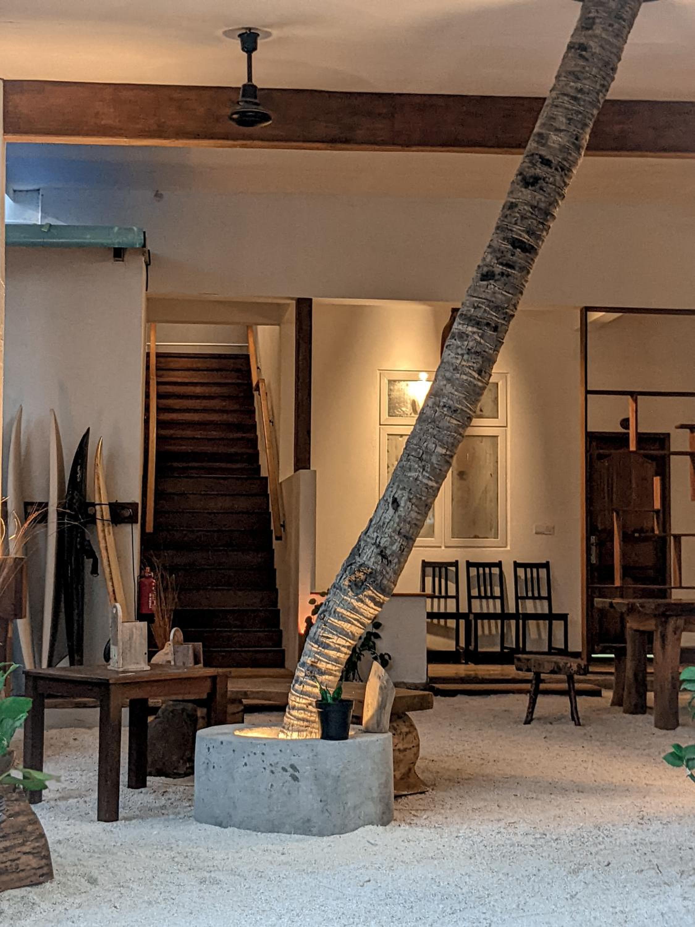 Dhoadhi Retreat - View 45