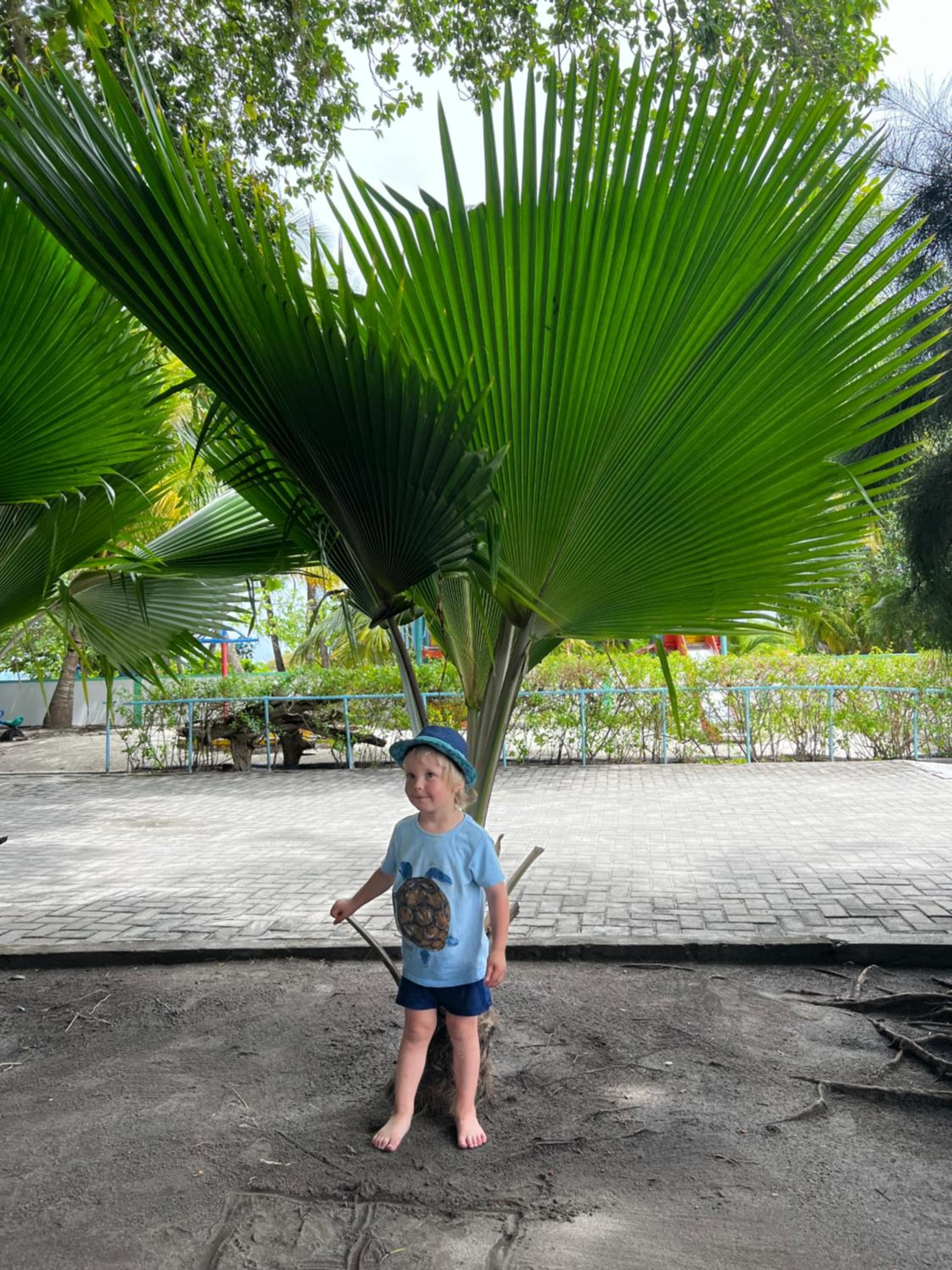 Rasdu View Inn - View 139